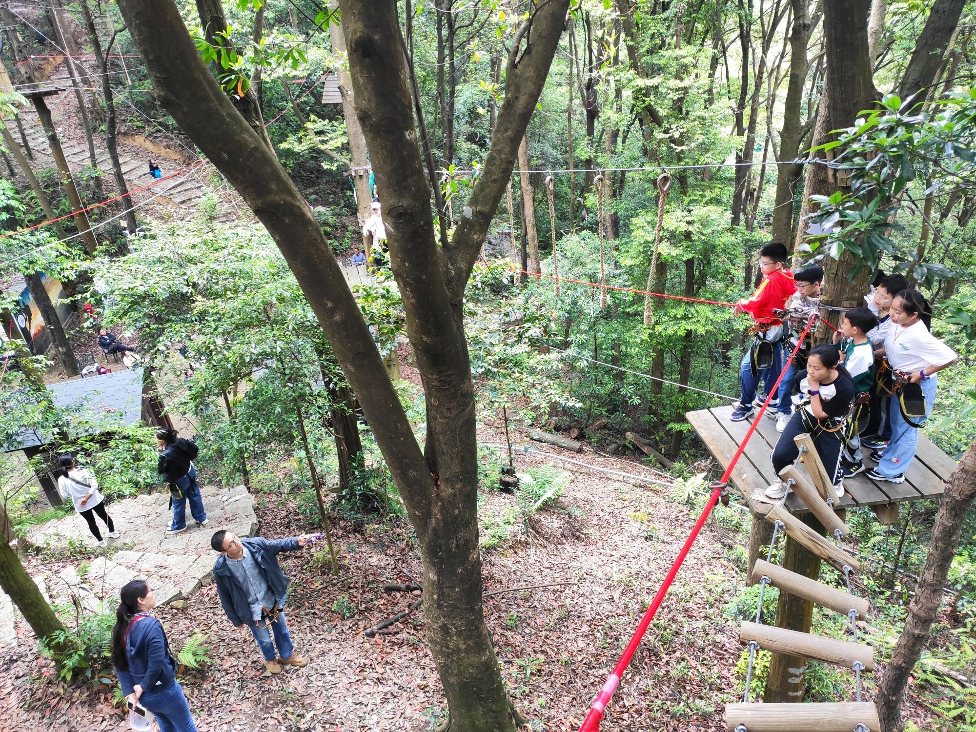 大荫山丛林飞越探险乐园旅行图片 1