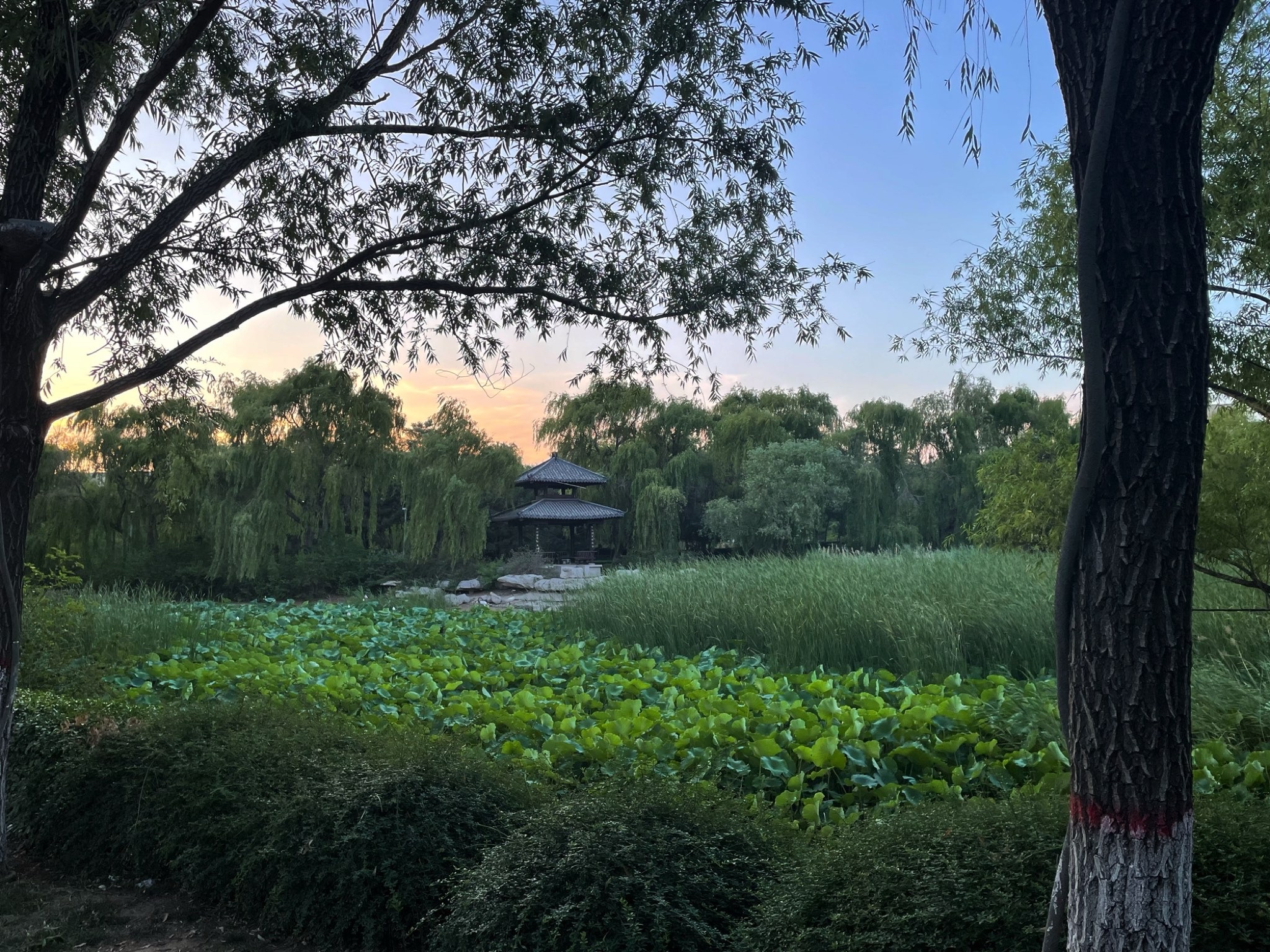 淄河景区旅行图片 1