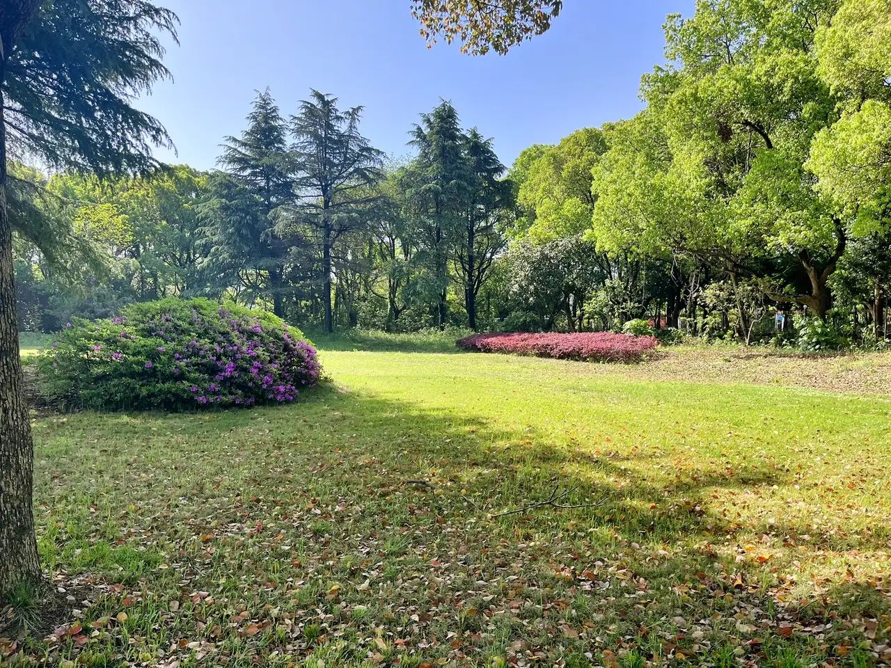 雁山湖国际花园度假区旅行图片 3