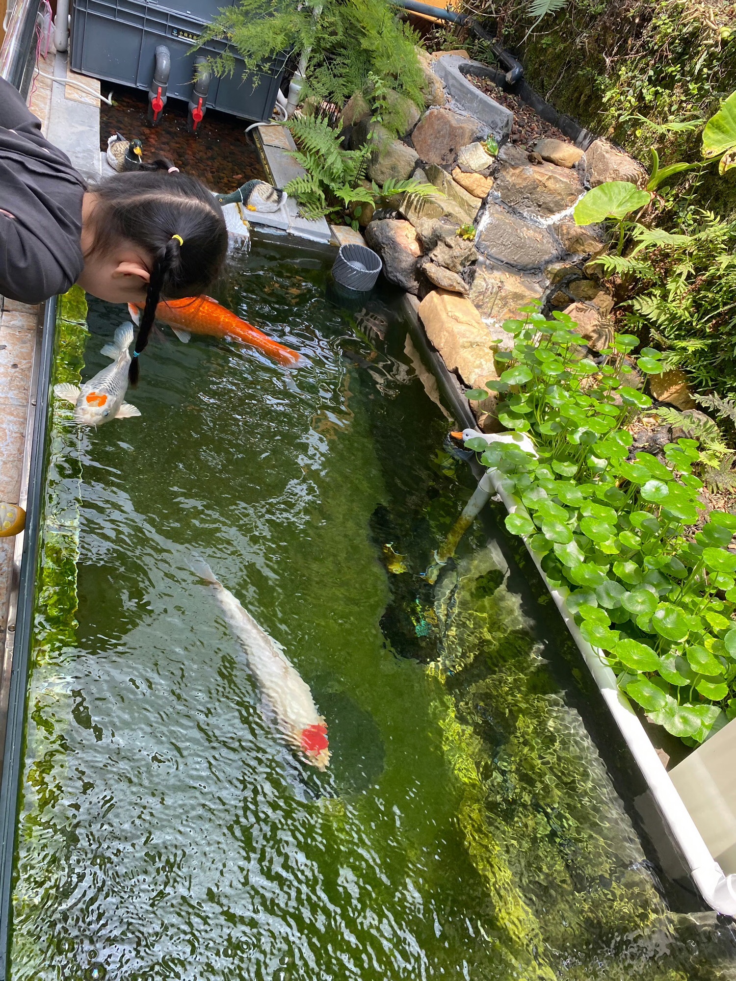 雁山湖国际花园度假区旅行图片 3