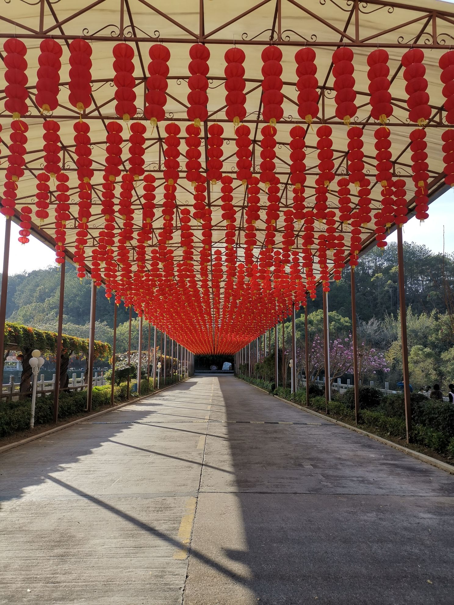 雁山湖国际花园度假区旅行图片 3