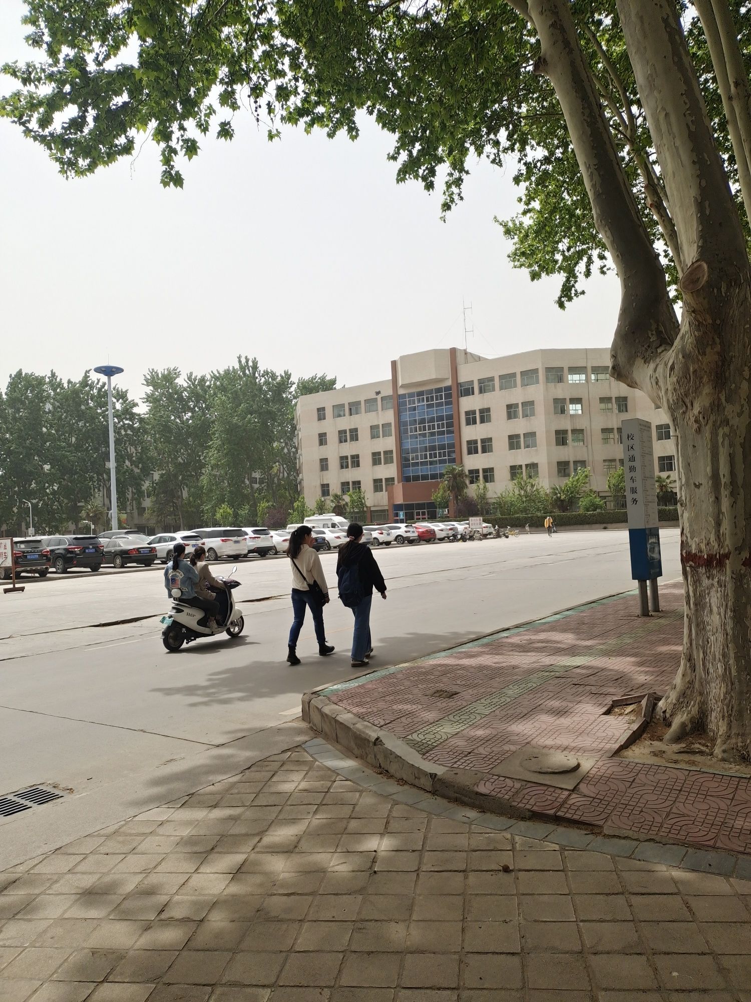 商都公园旅行图片 2
