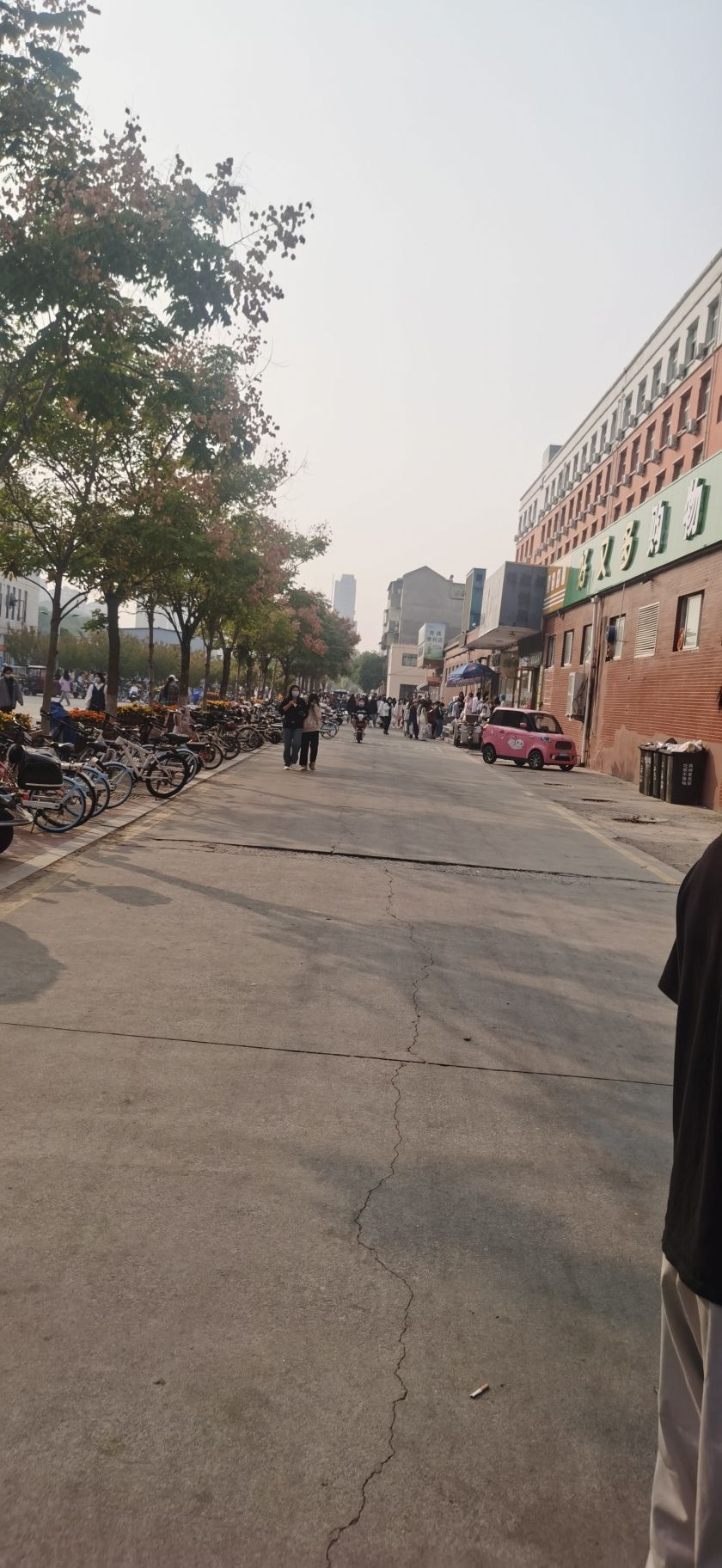 商都公园旅行图片 1