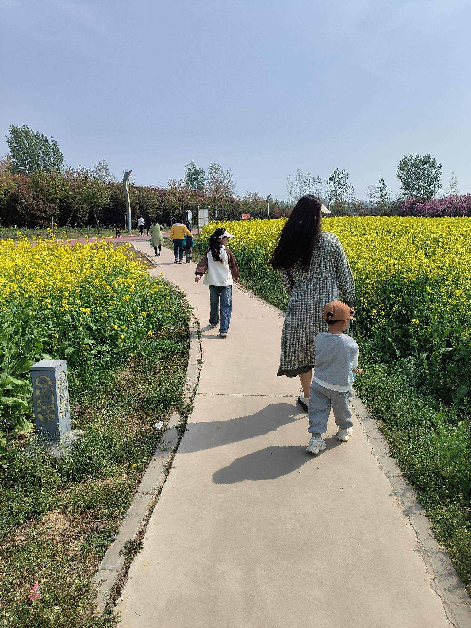 舞阳植物园旅行图片 2