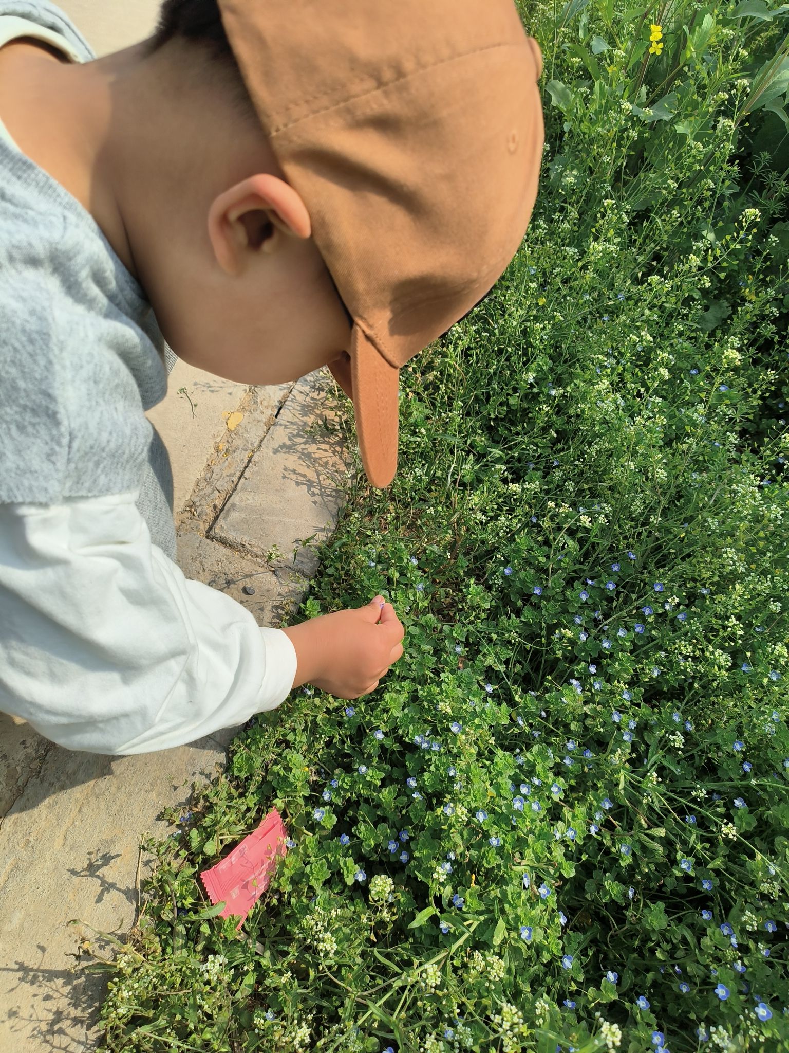 舞阳植物园旅行图片 3
