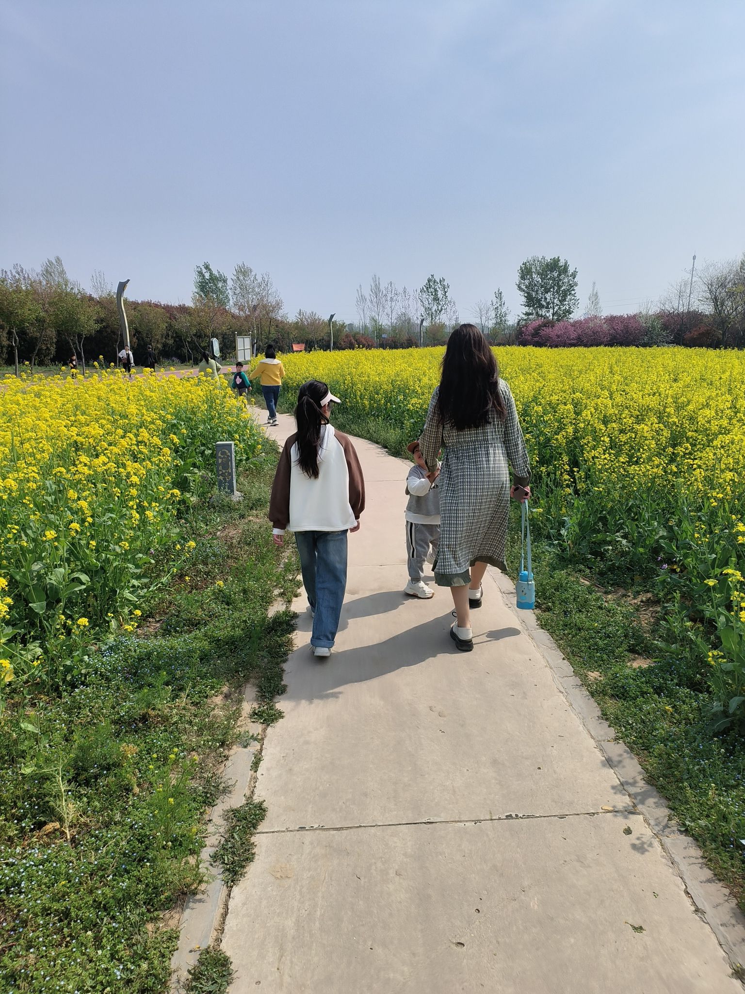 舞阳植物园旅行图片 1