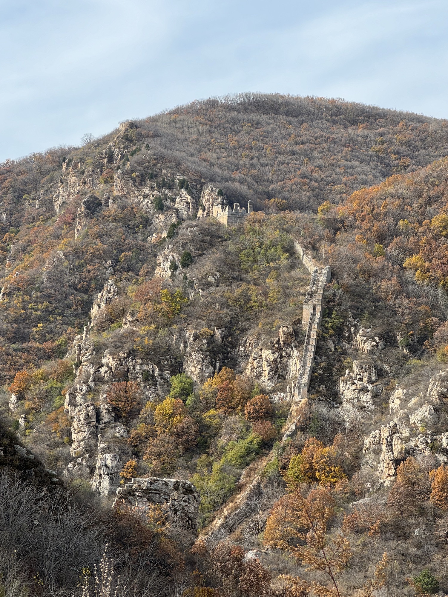 阿那亚金山岭旅行图片 1