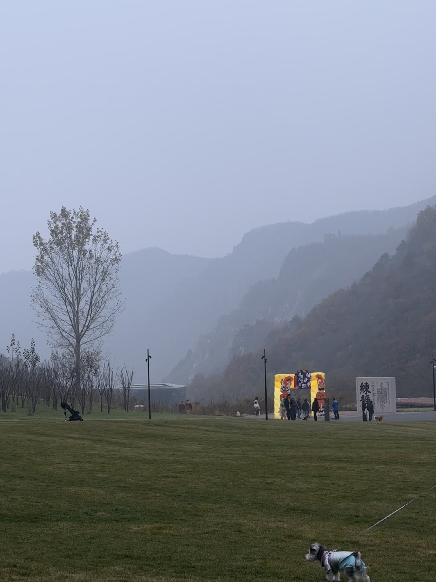 阿那亚金山岭旅行图片 2
