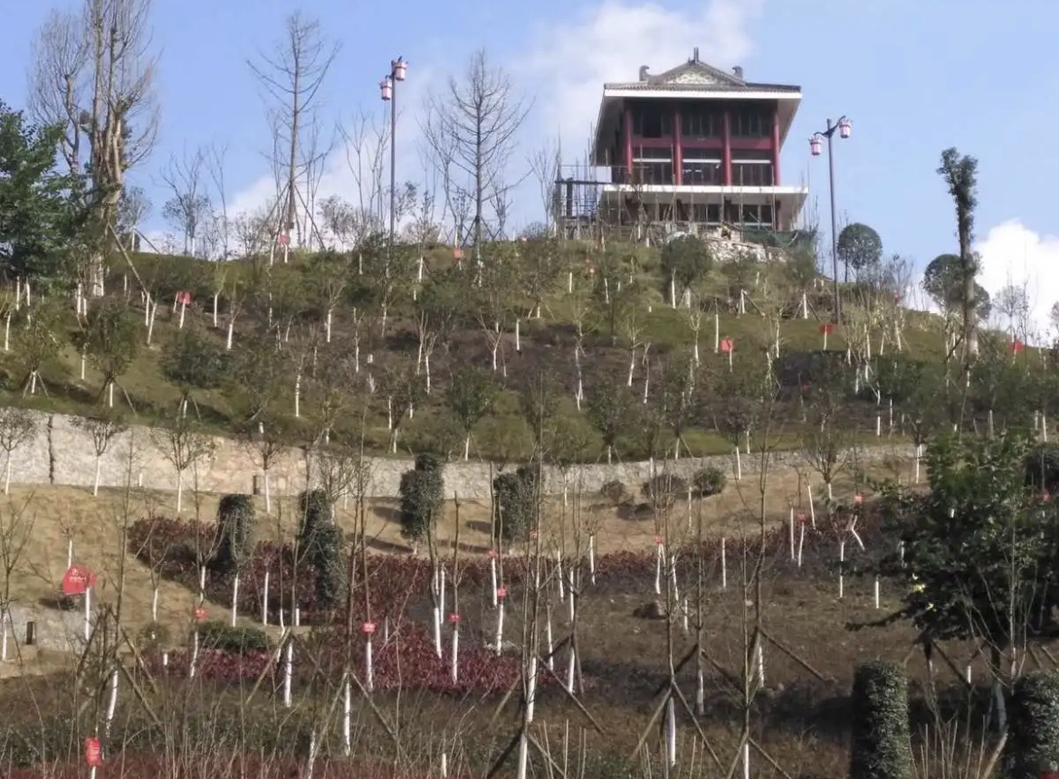 国漆文化公园旅行图片 1