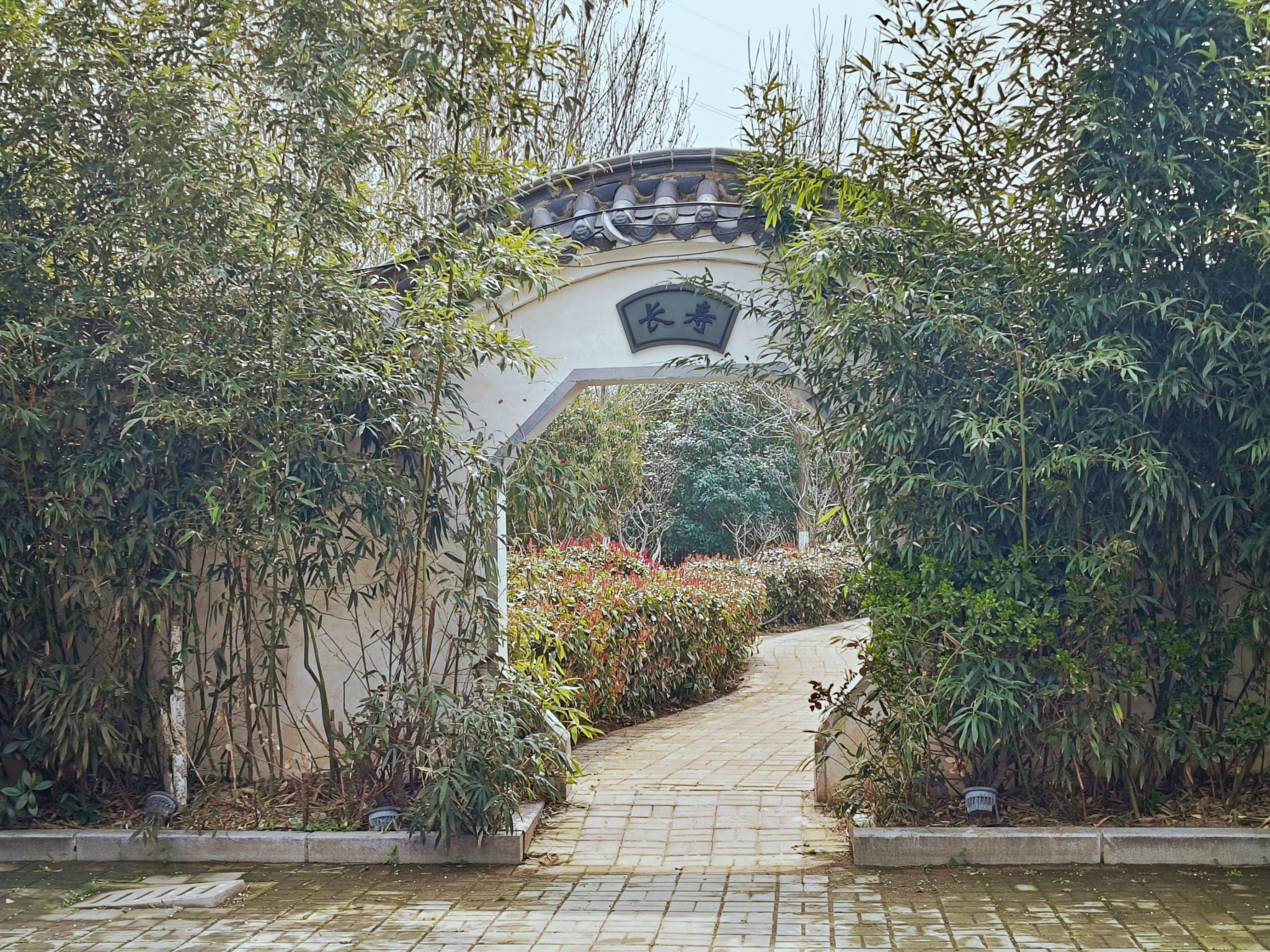 樱花阁旅行图片 2