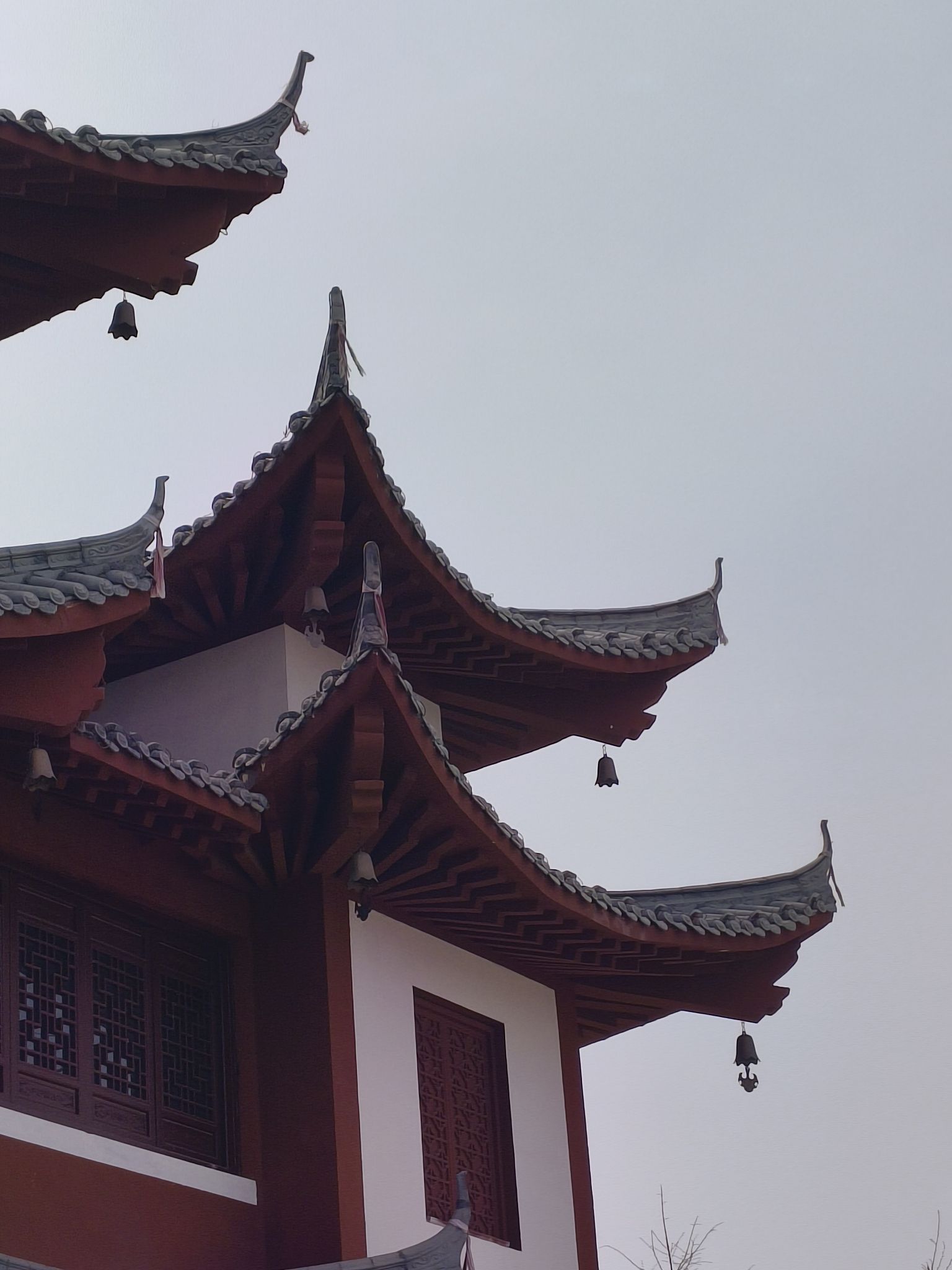 樱花阁旅行图片 1
