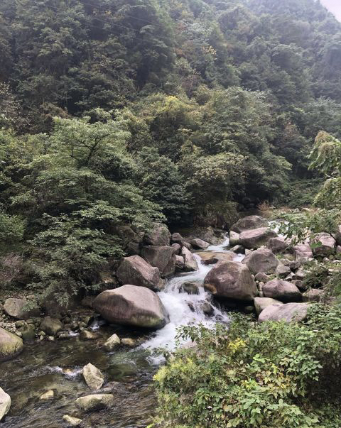 南山国家公园旅行图片 3