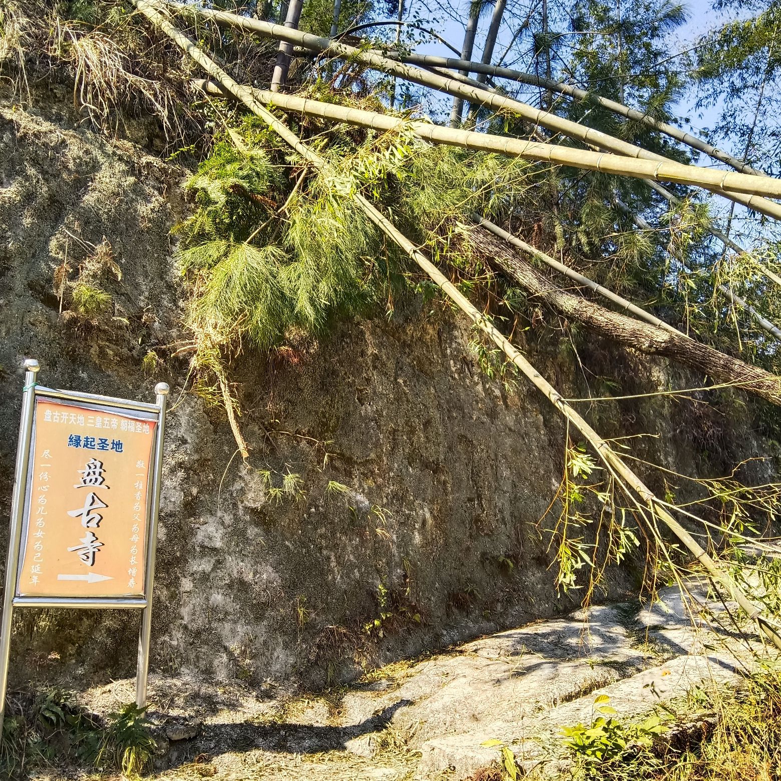 南山国家公园旅行图片 1