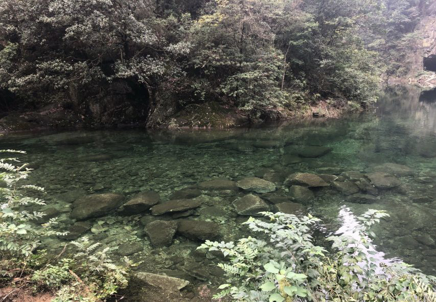 南山国家公园旅行图片 1