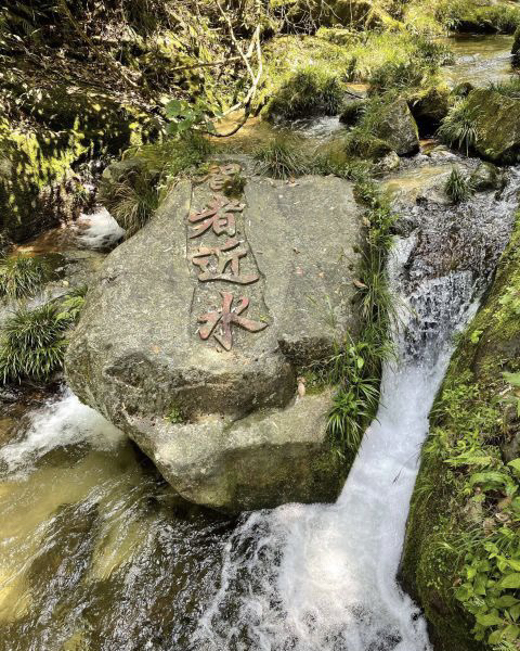 南山国家公园旅行图片 2