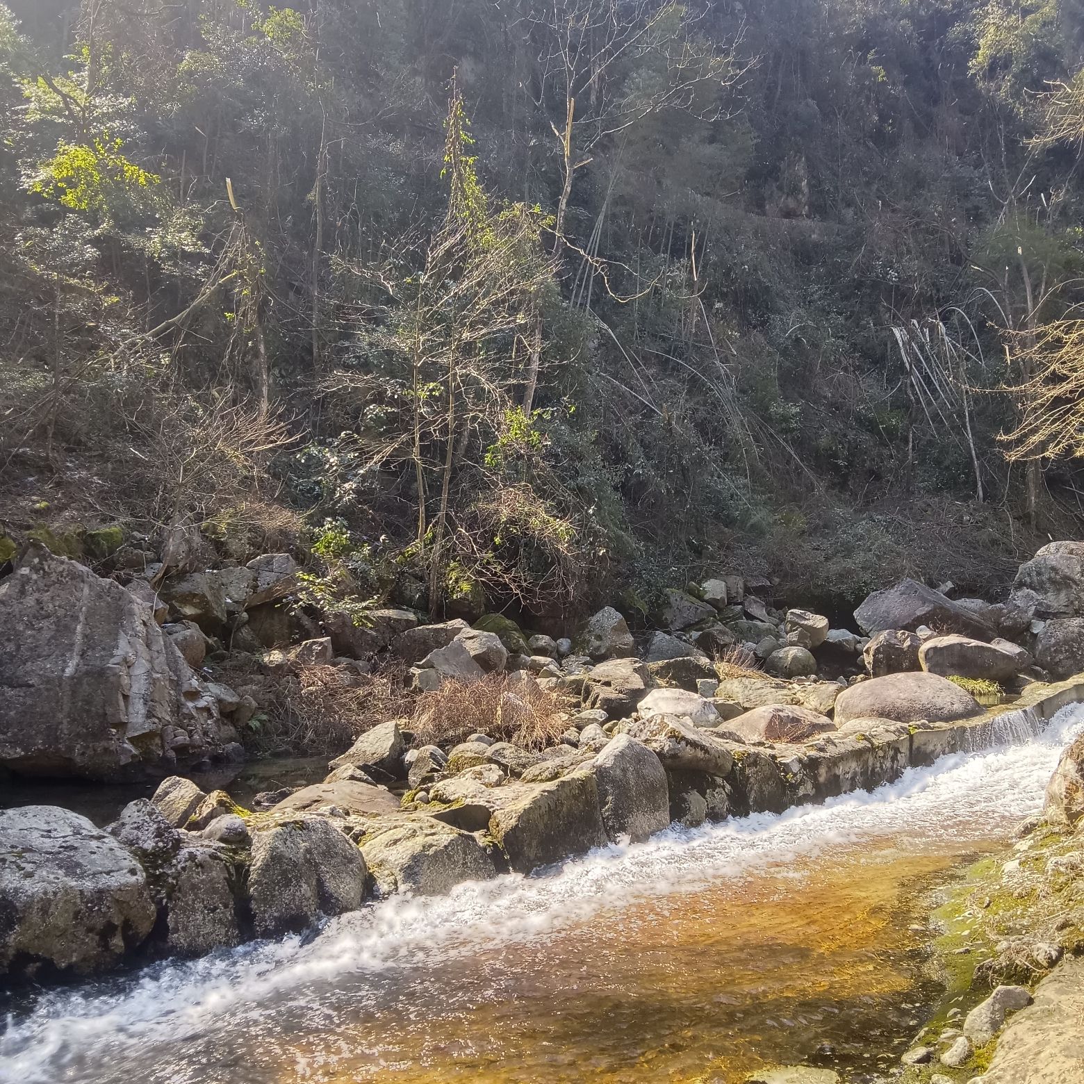 南山国家公园旅行图片 2
