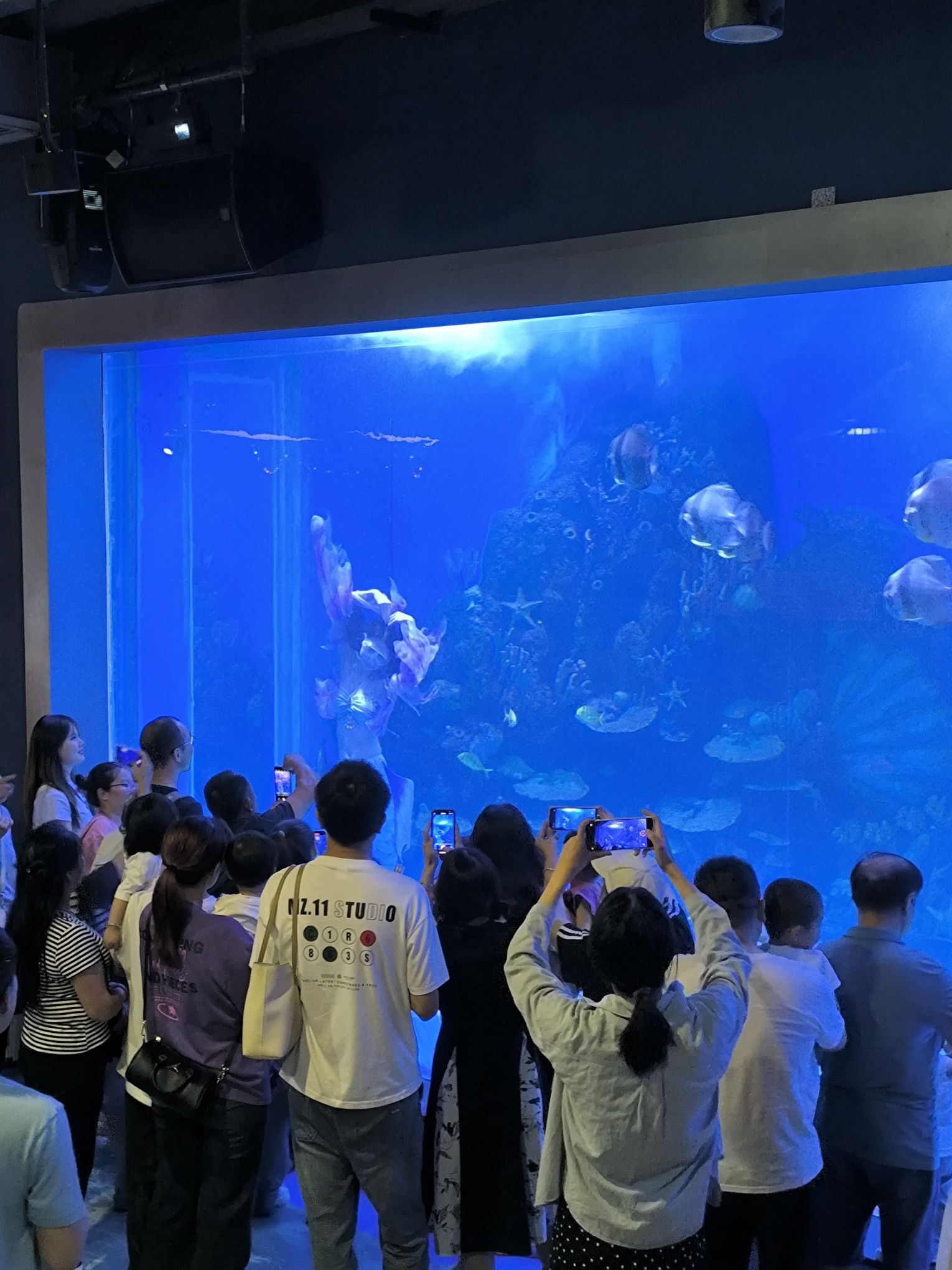 南宏海洋公园旅行图片 3