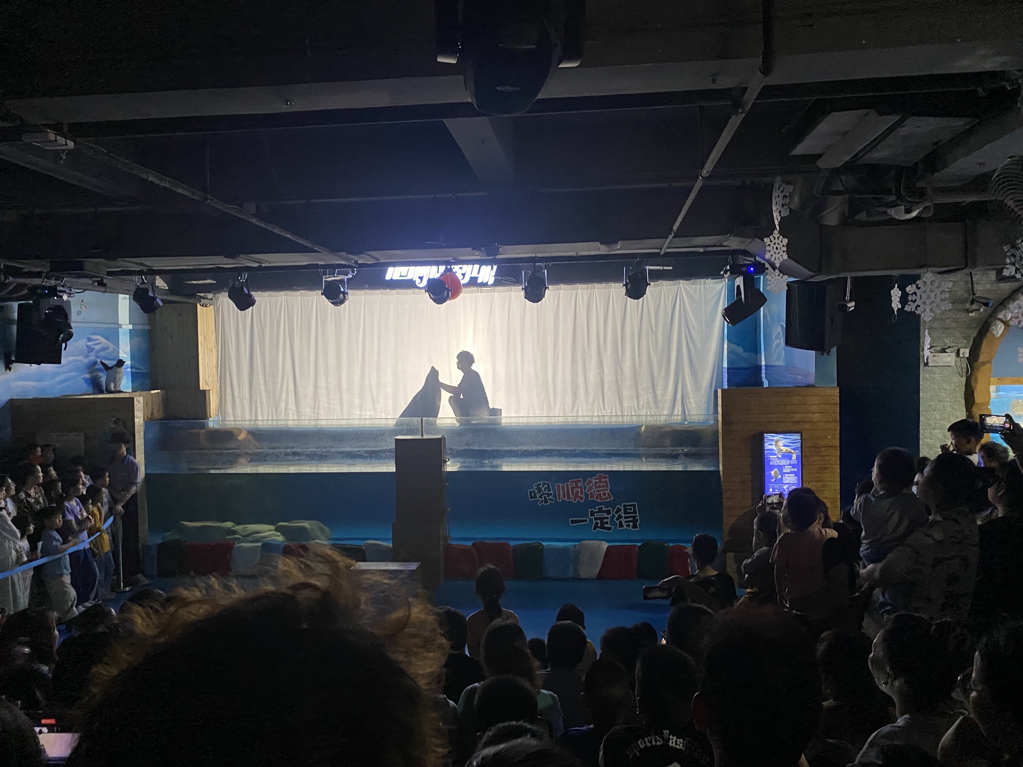 南宏海洋公园旅行图片 2