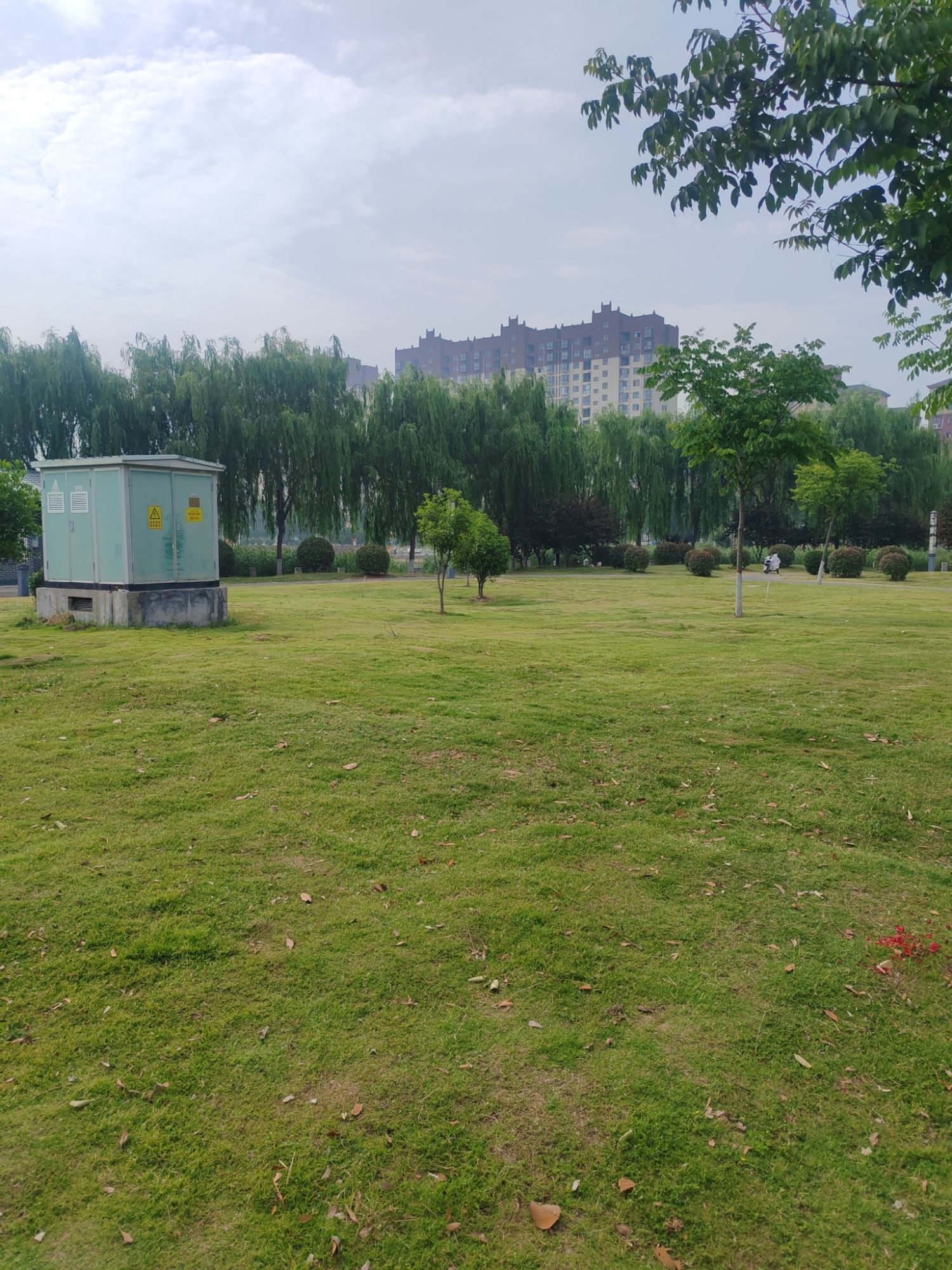 舞阳县人民公园旅行图片 2