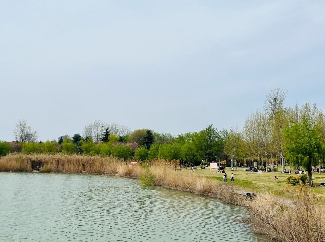 舞阳县人民公园旅行图片 1