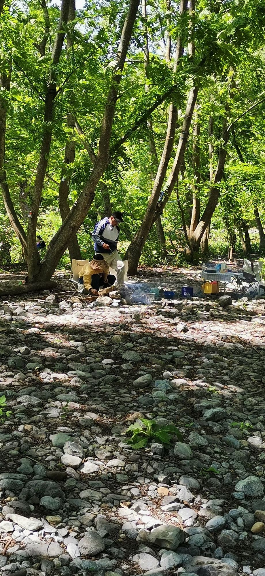 都牙粽情水上森林风景区旅行图片 3