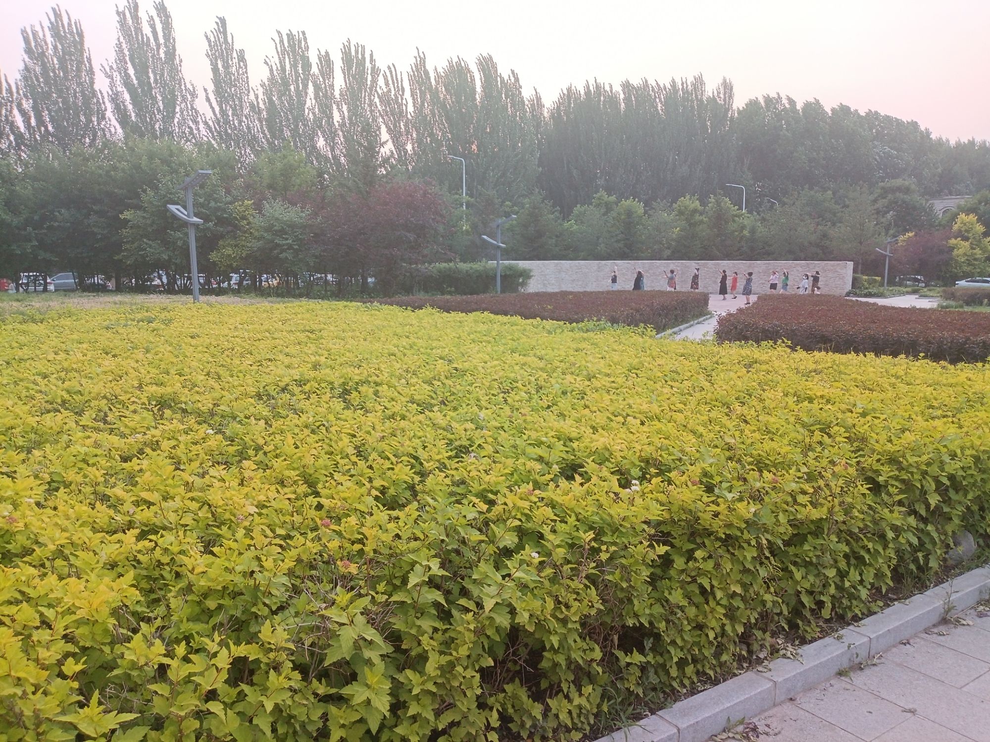 侵华日军第100部队遗址旅行图片 2
