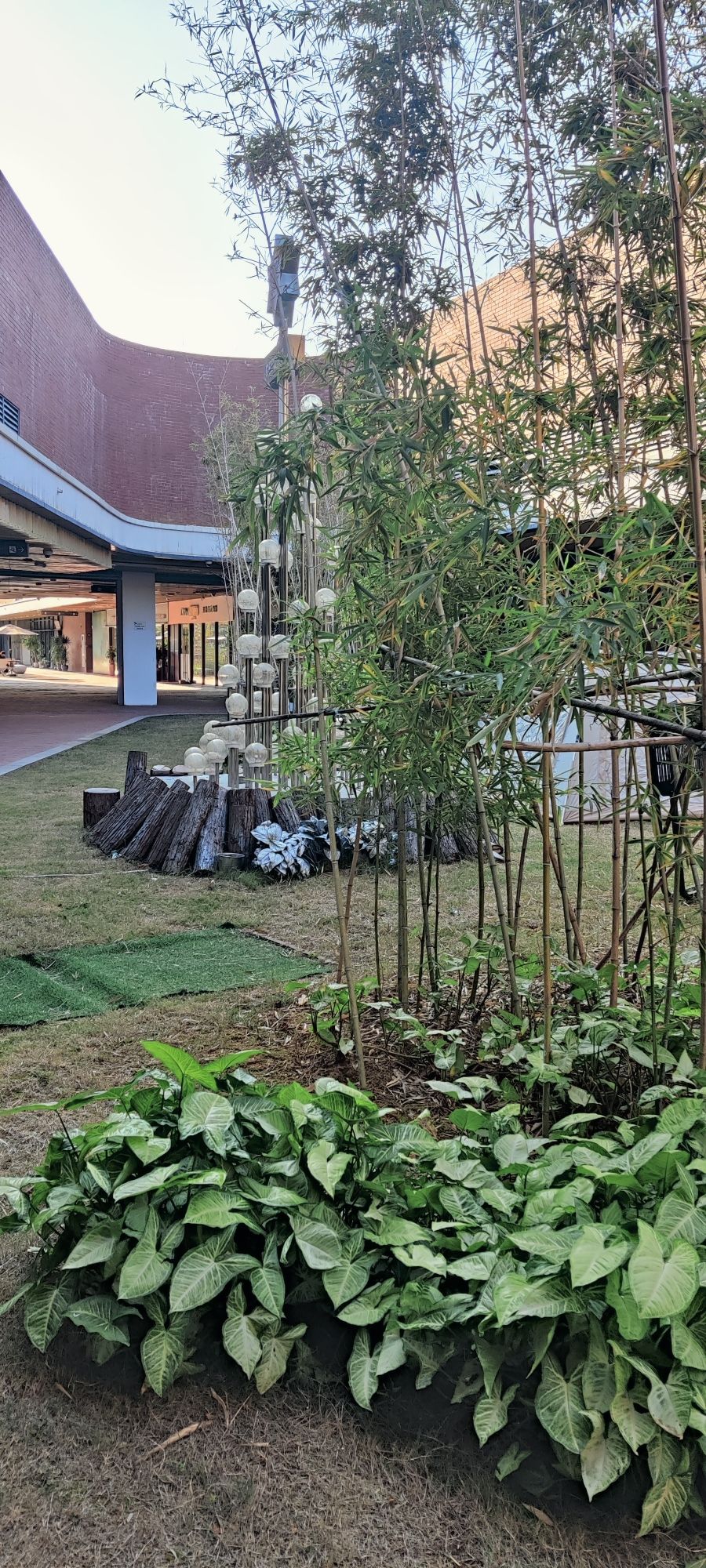 海丝·佰艺里旅行图片 2