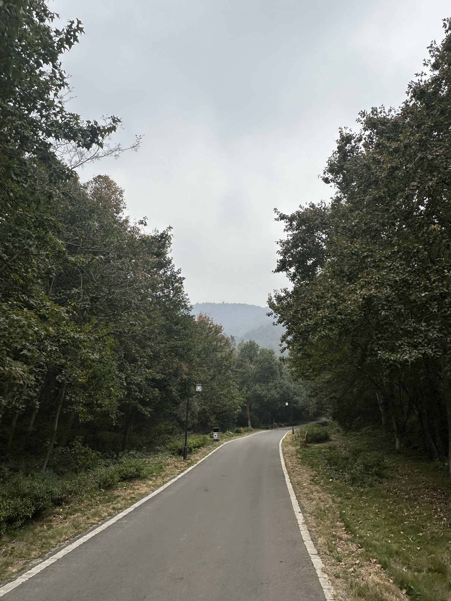 珩琅山玫瑰谷旅行图片 2
