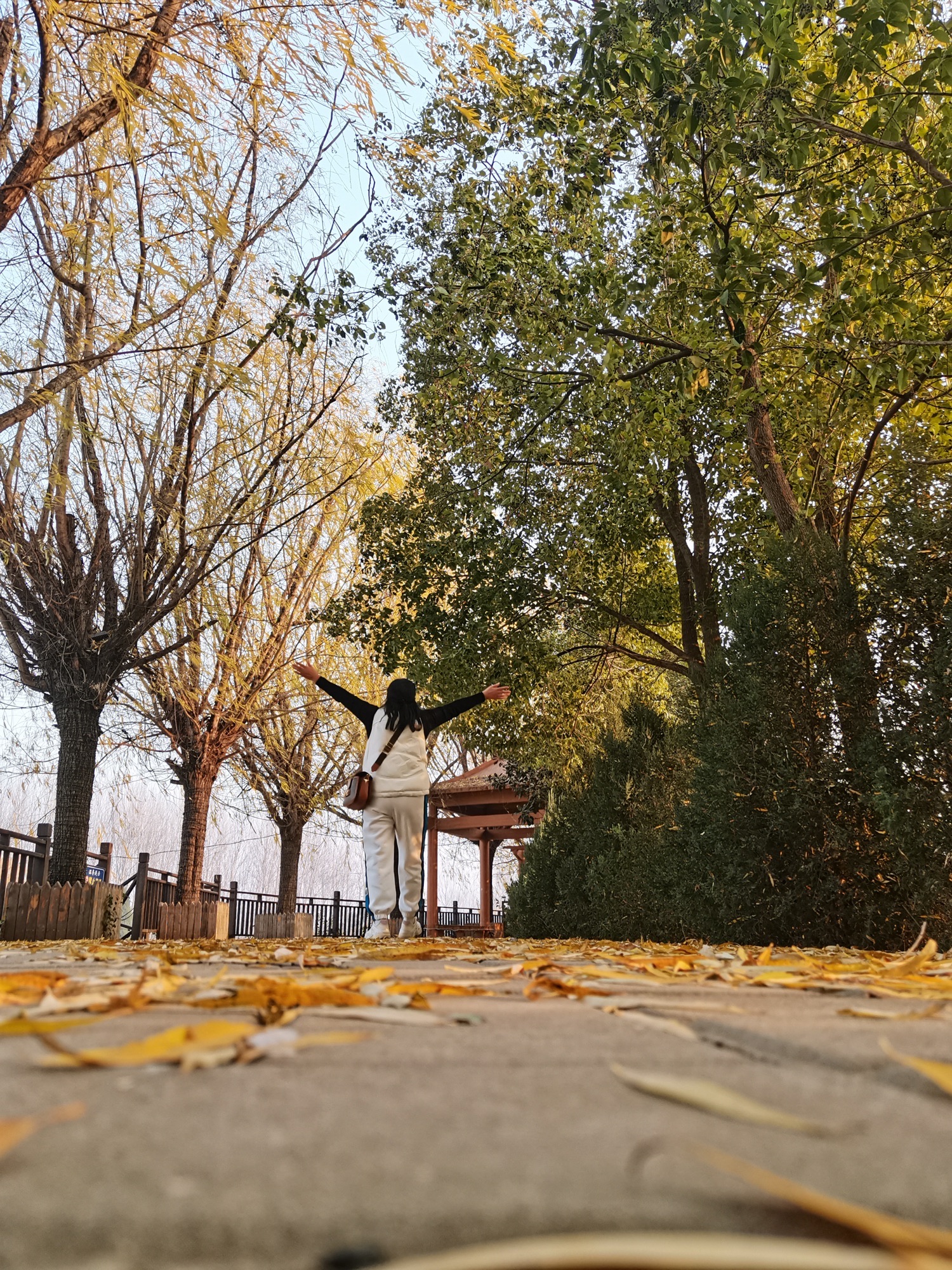 中国牛郎织女文化风情小镇旅行图片 3