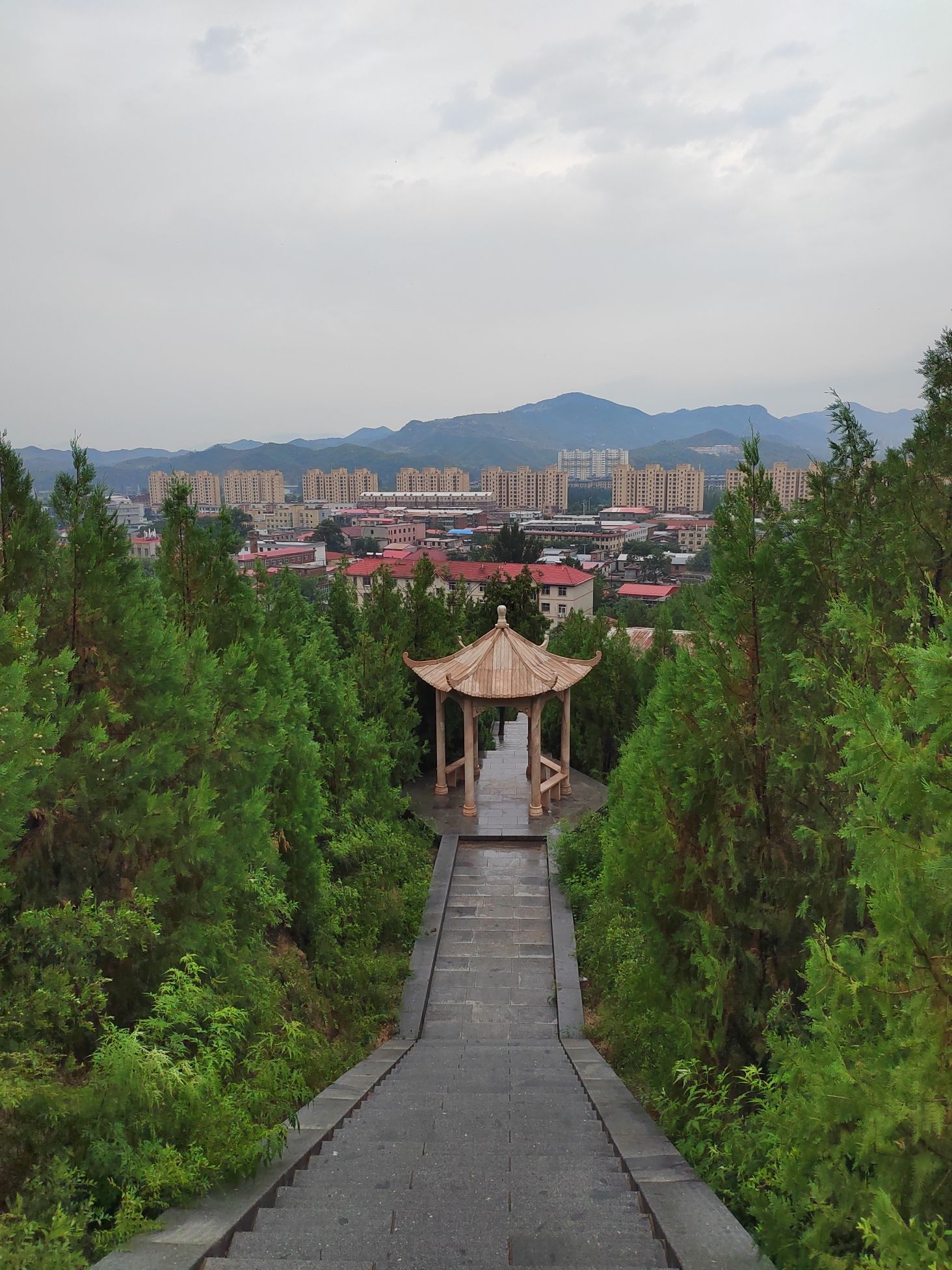 小派山公园旅行图片 1