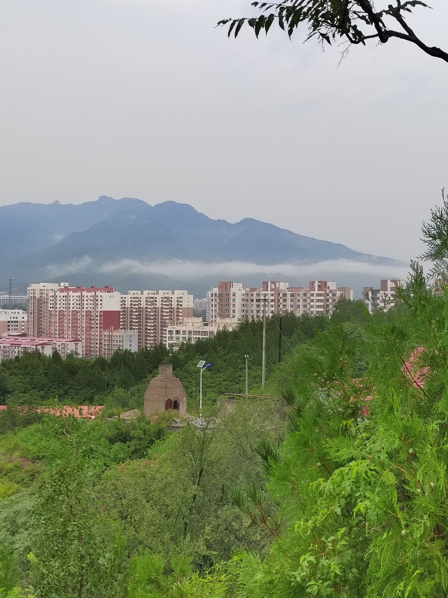 小派山公园旅行图片 3