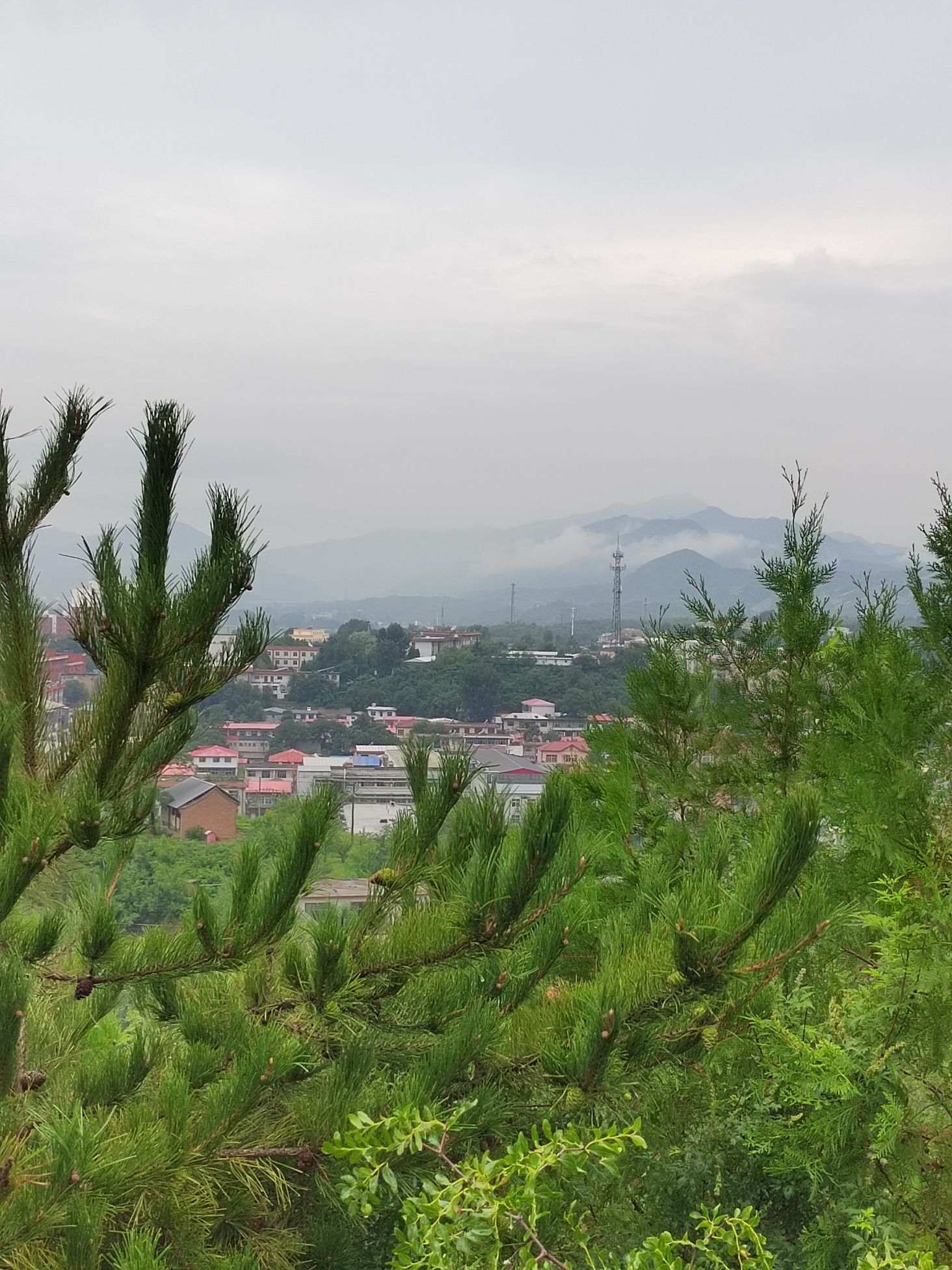 小派山公园旅行图片 2