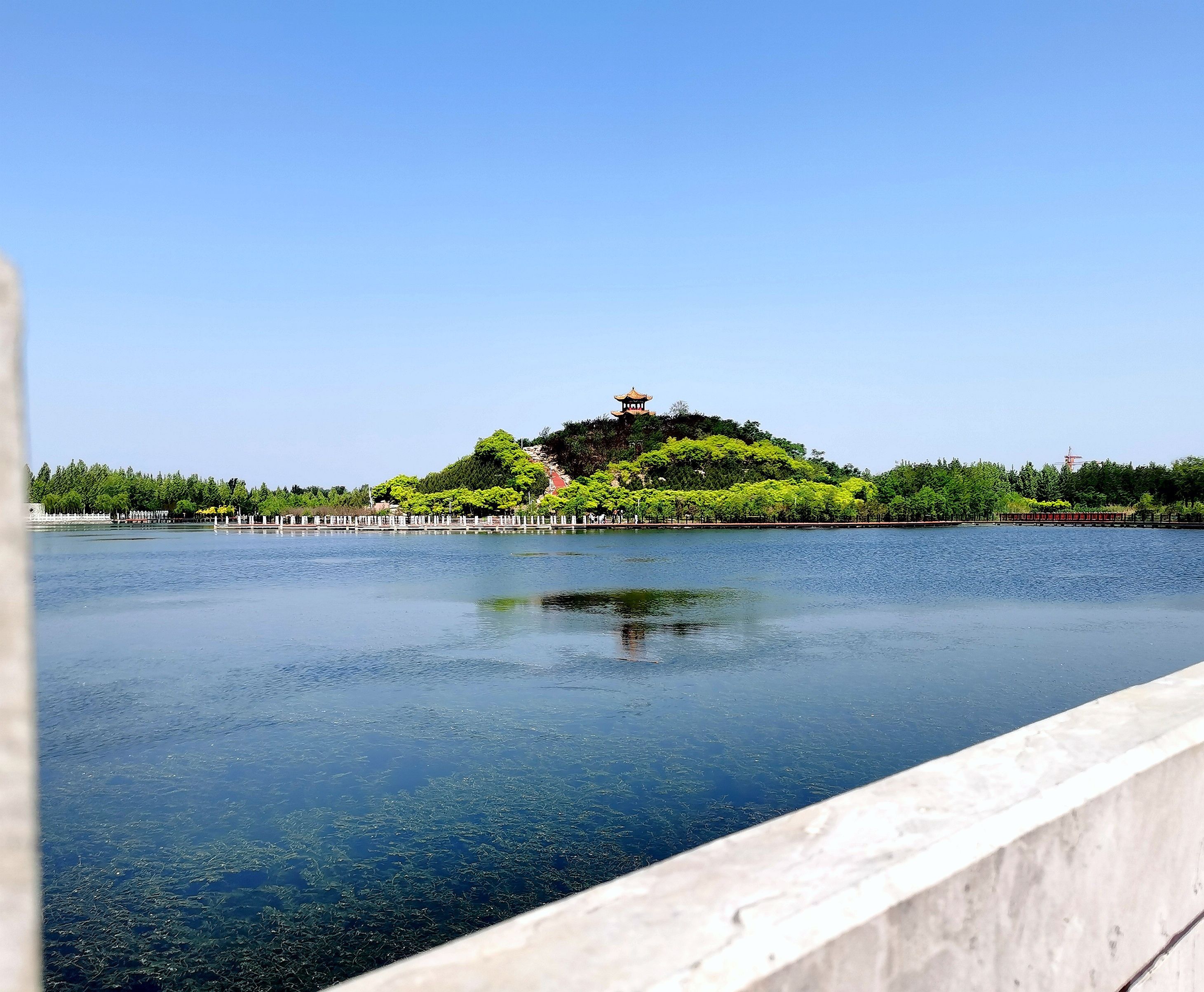 迎宾湖公园旅行图片 1