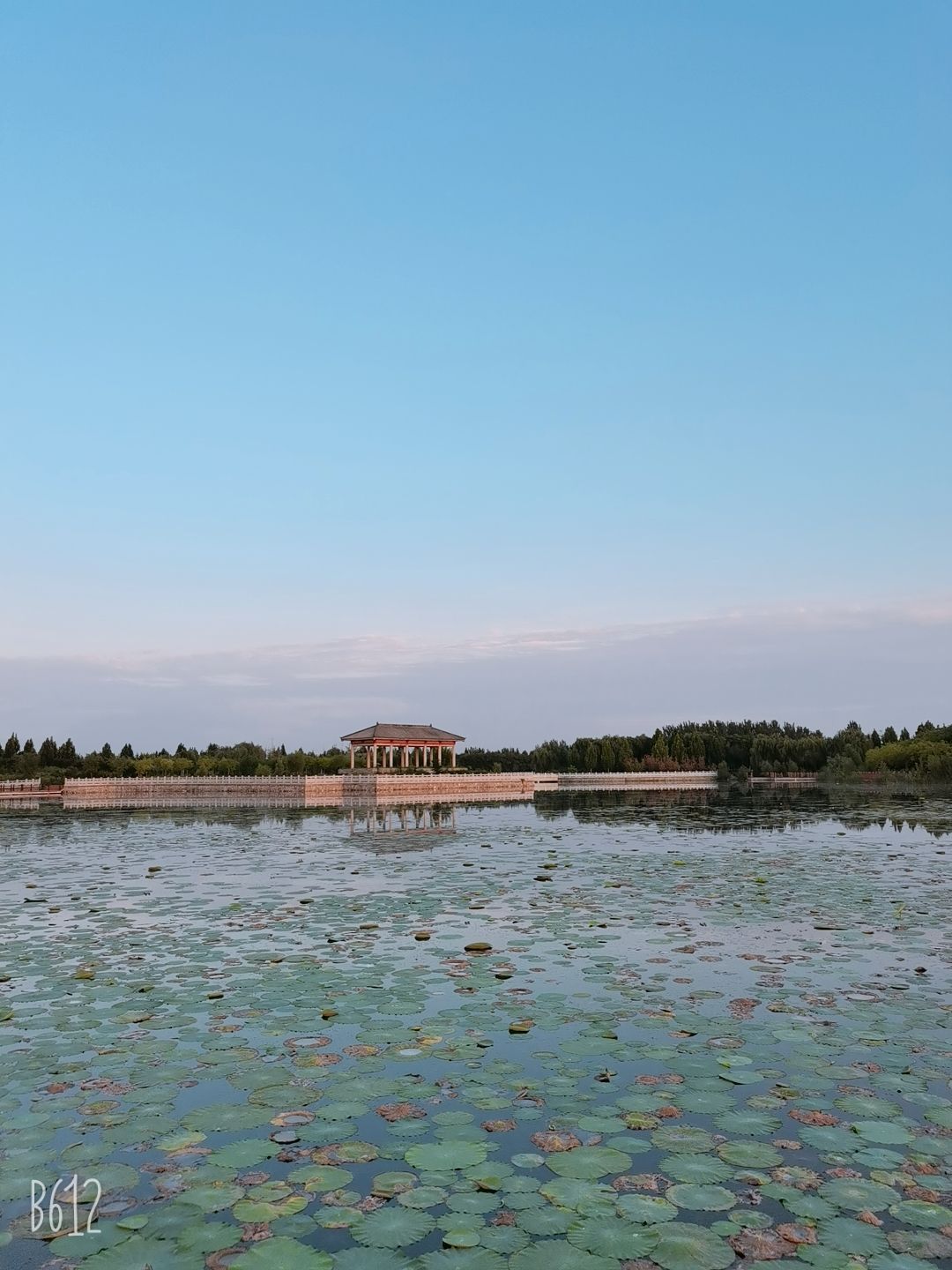 迎宾湖公园旅行图片 3