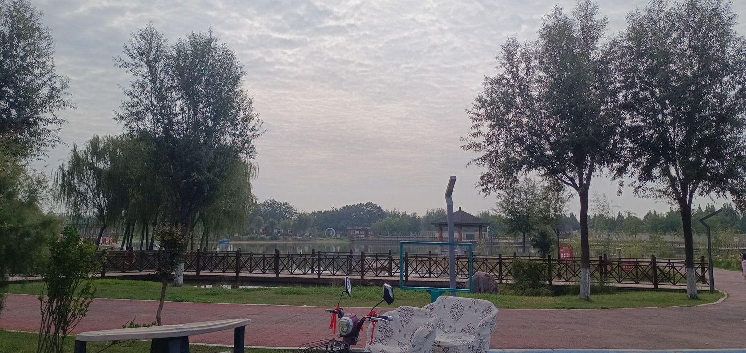 青莲湖公园旅行图片 1