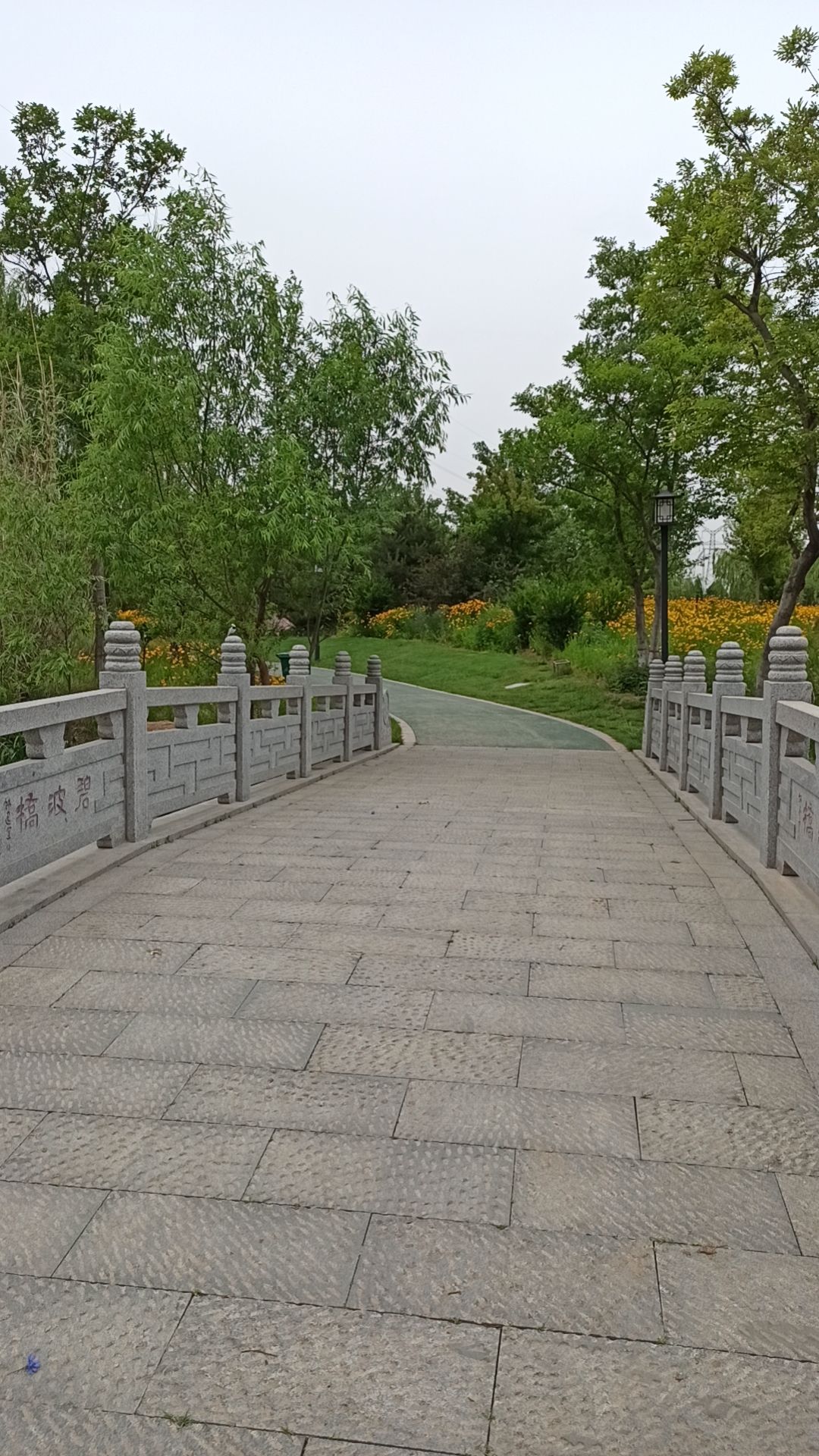 凤湖湿地旅行图片 2