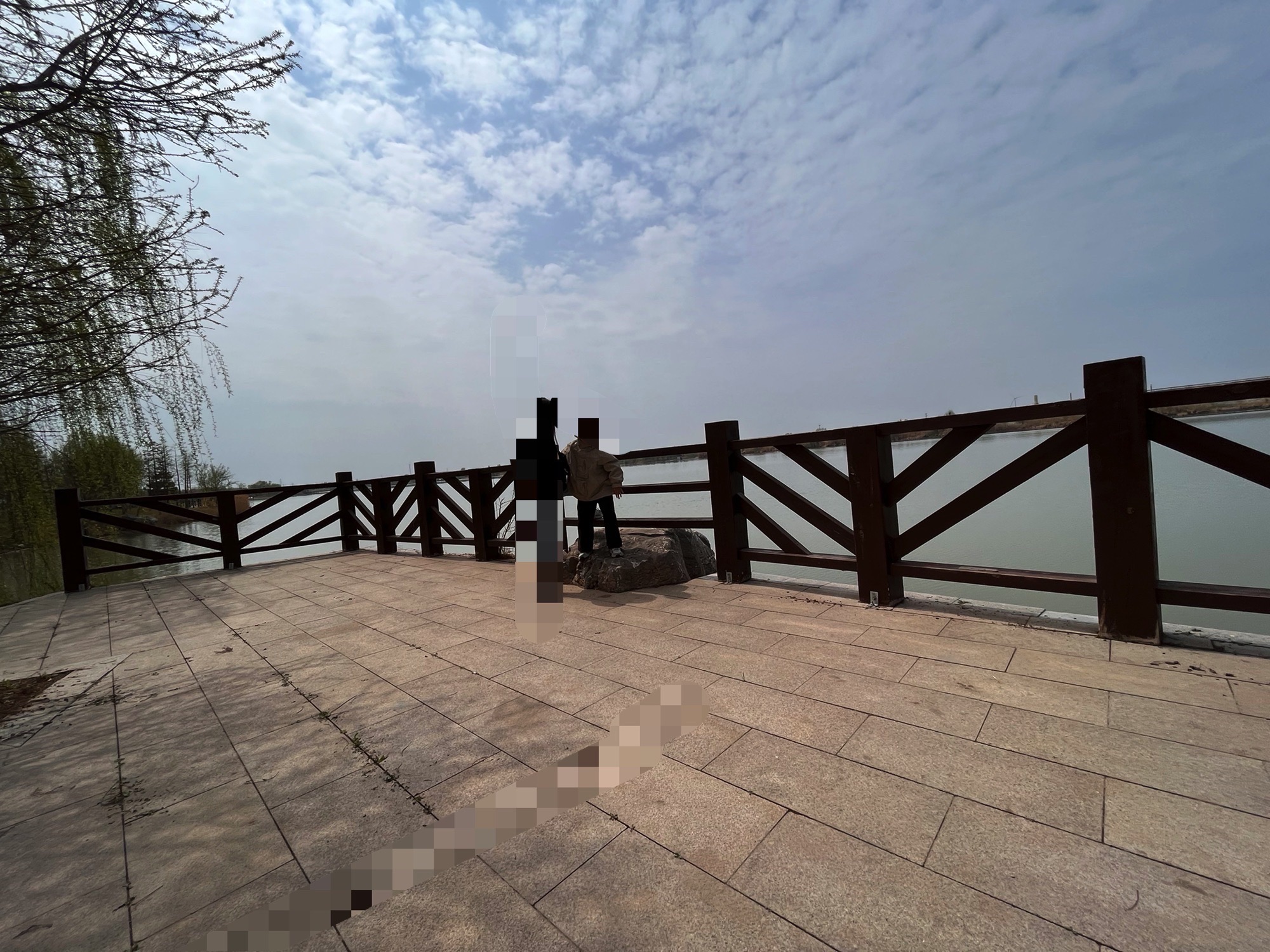 凤湖湿地旅行图片 2