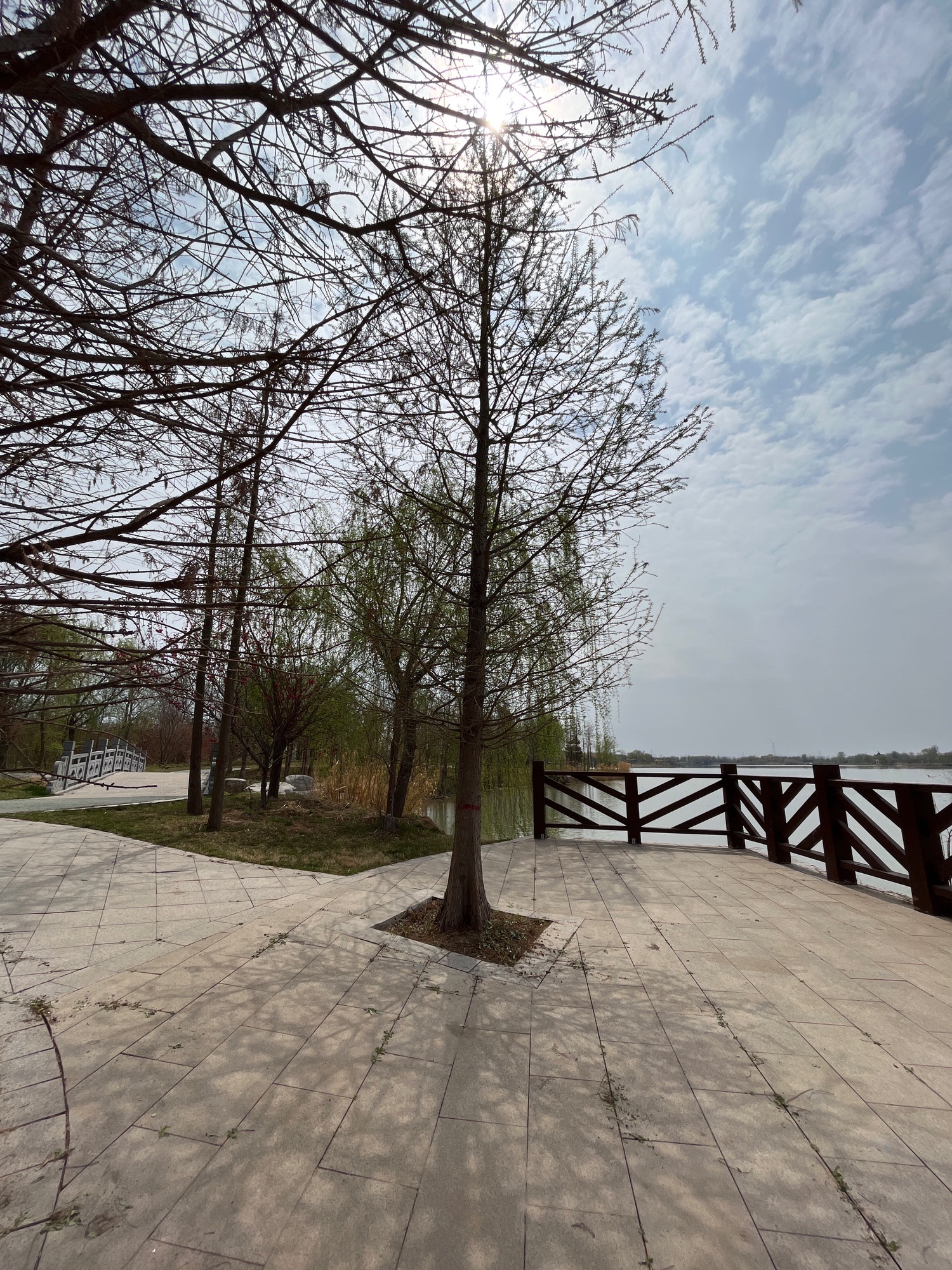 凤湖湿地旅行图片 3