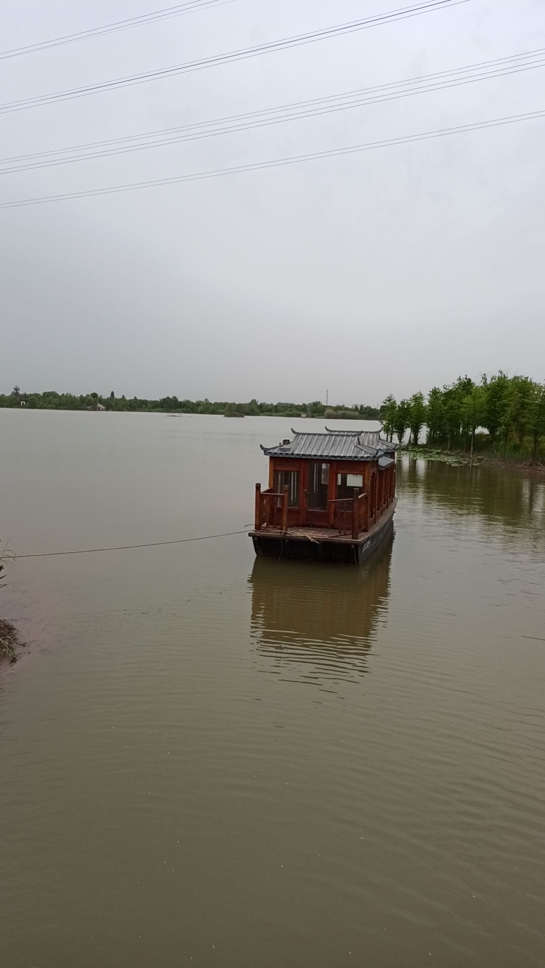 凤湖湿地旅行图片 3
