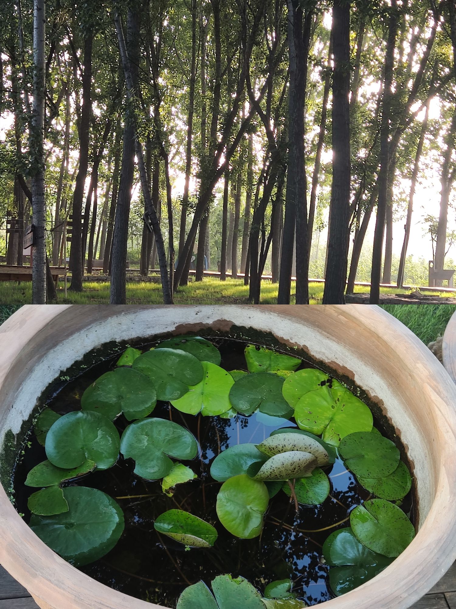 等闲谷艺术粮仓旅行图片 1