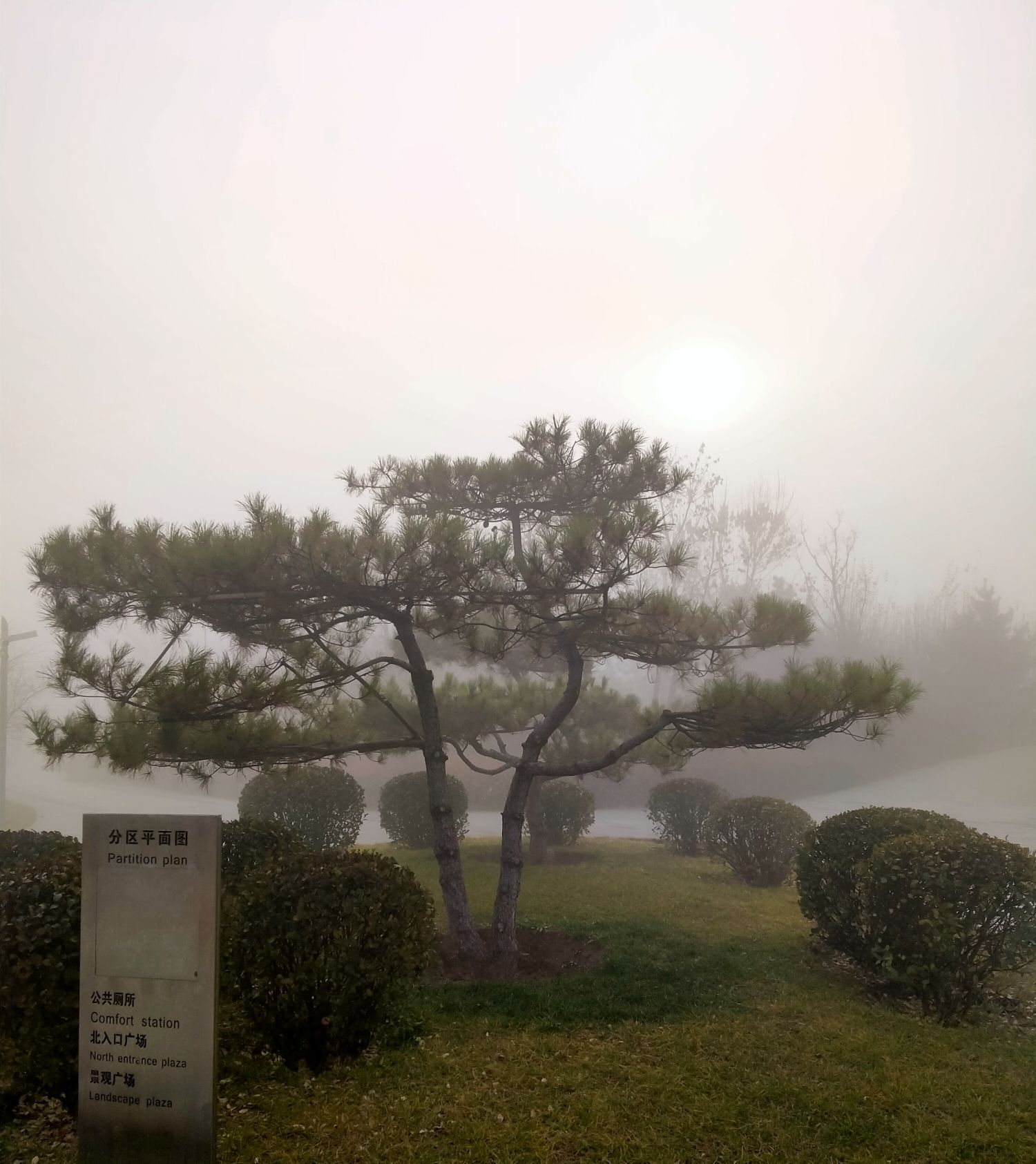 不锈钢产业园区绿地公园旅行图片 3