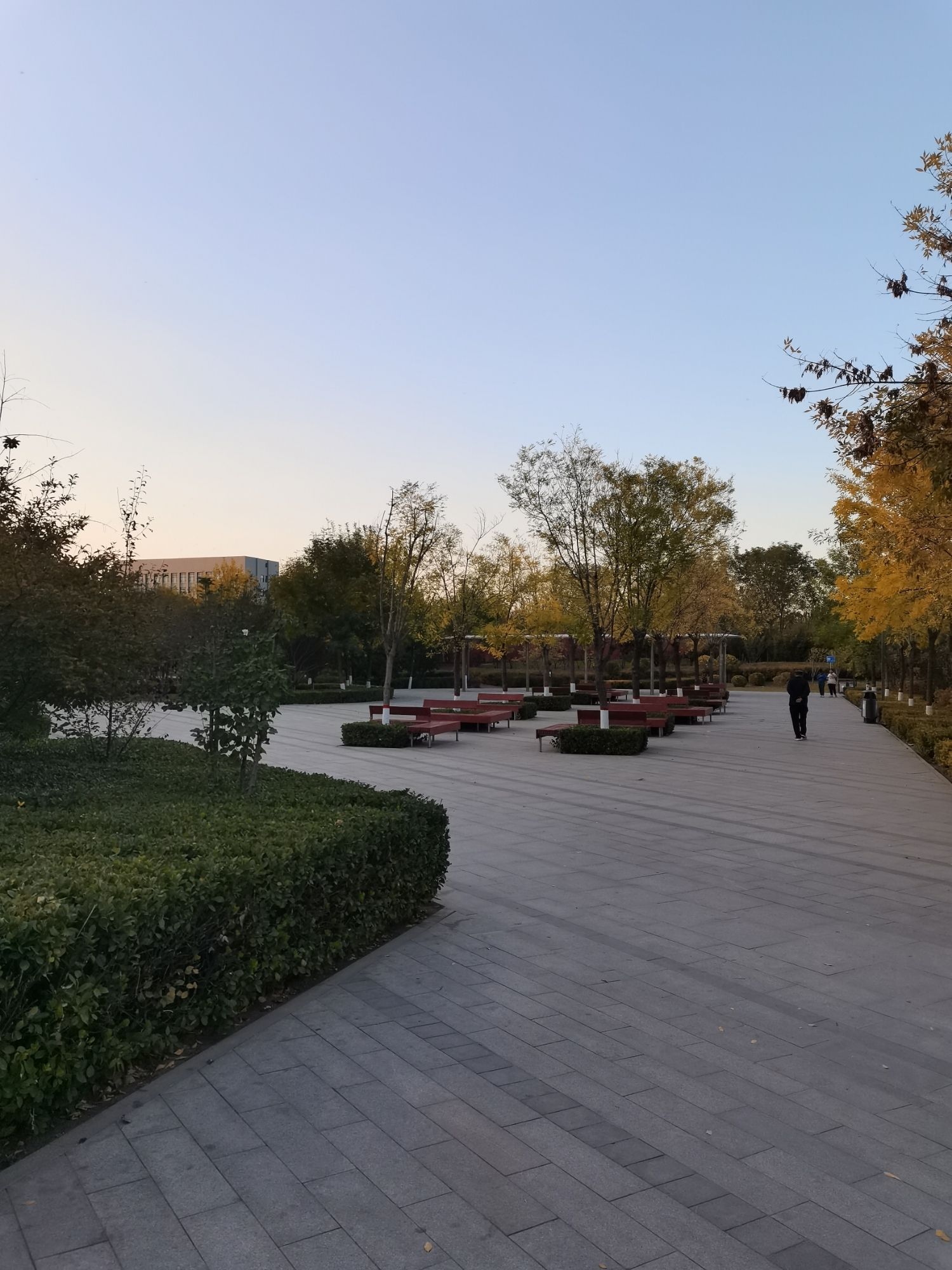 不锈钢产业园区绿地公园旅行图片 2