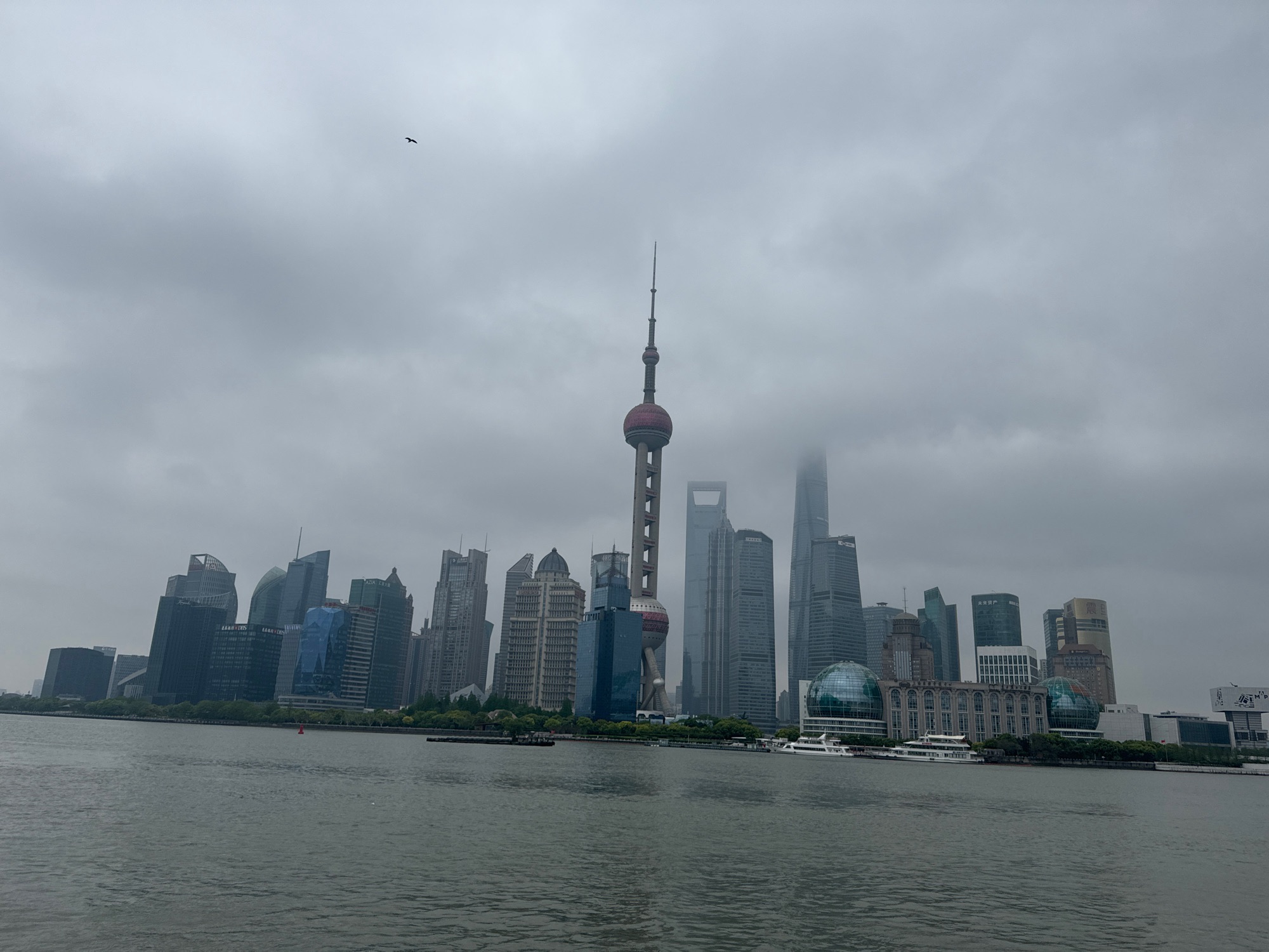 滨江观景平台旅行图片 1