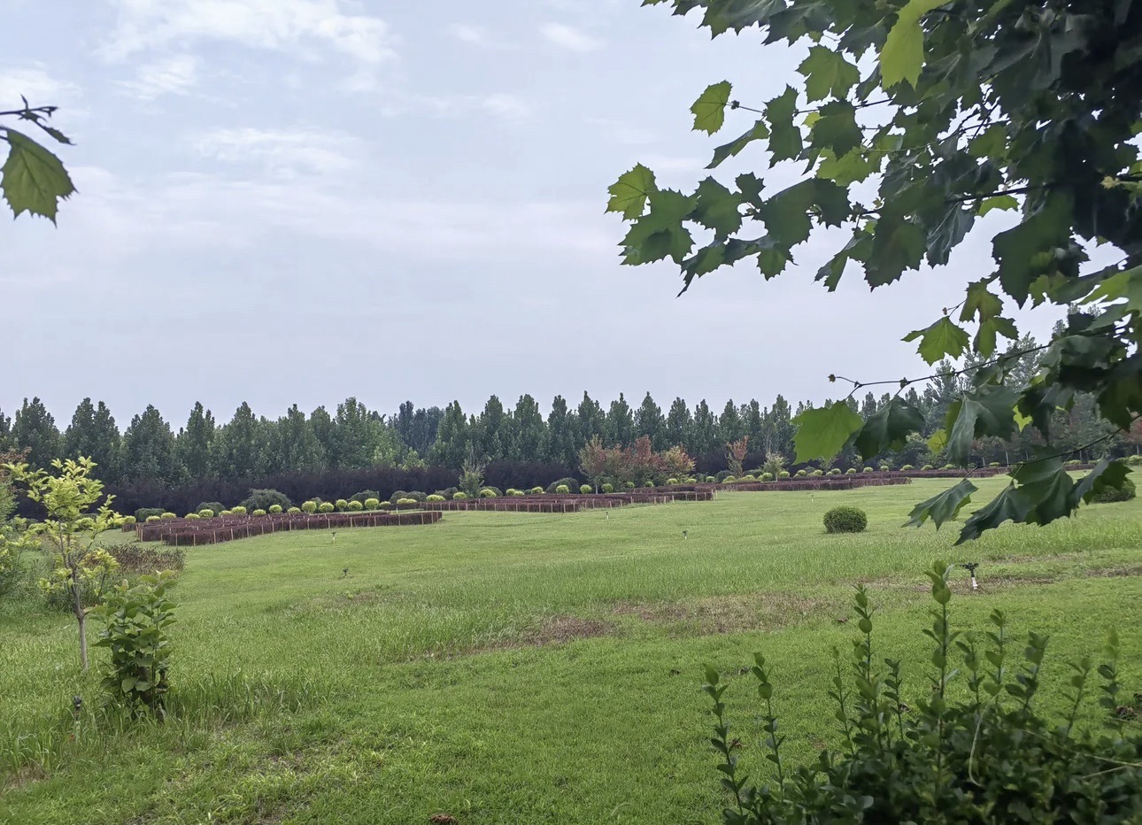 香河主题公园旅行图片 3