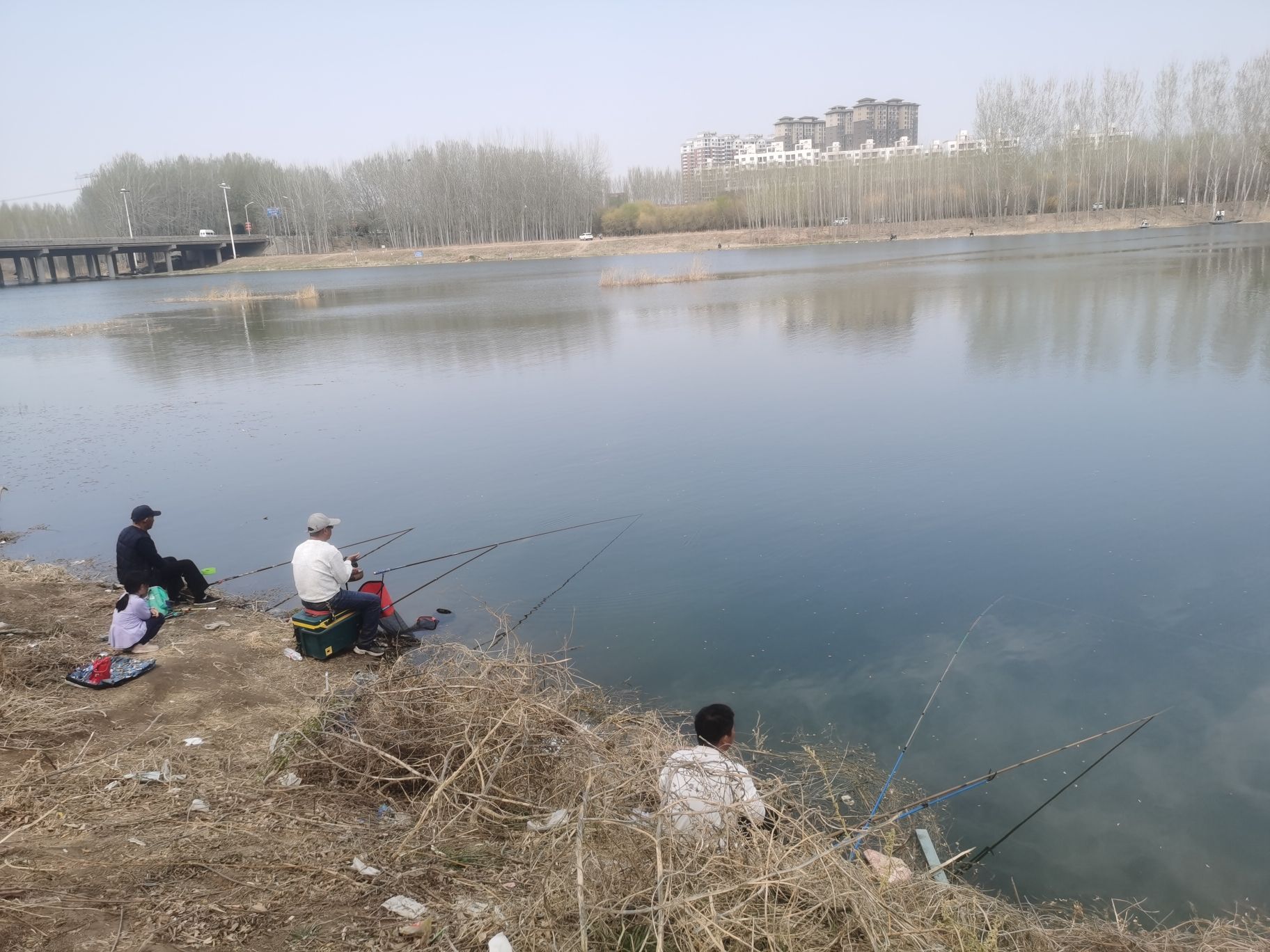 香河主题公园旅行图片 1
