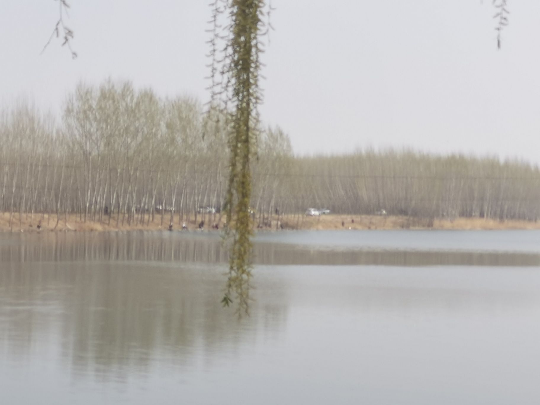 香河主题公园旅行图片 2