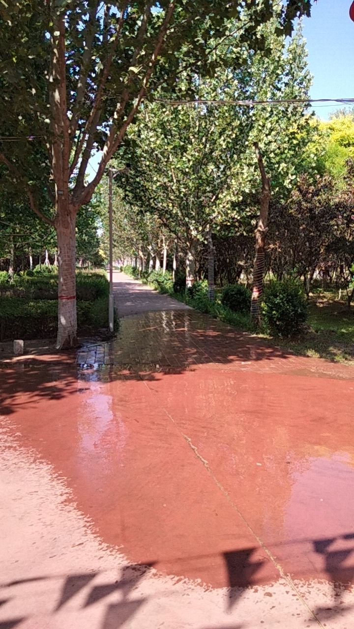 香河主题公园旅行图片 1