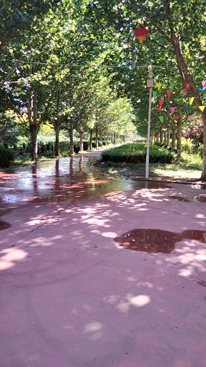 香河主题公园旅行图片 2