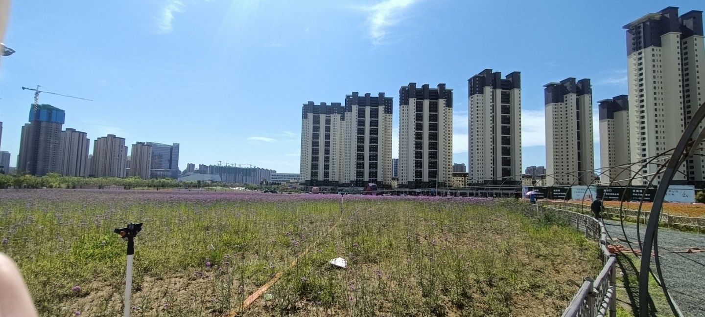 花海公园旅行图片 1