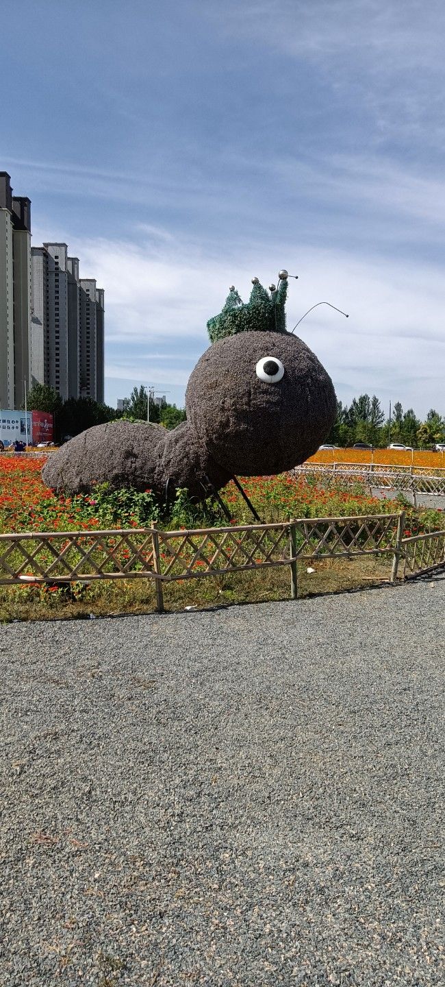 花海公园旅行图片 2